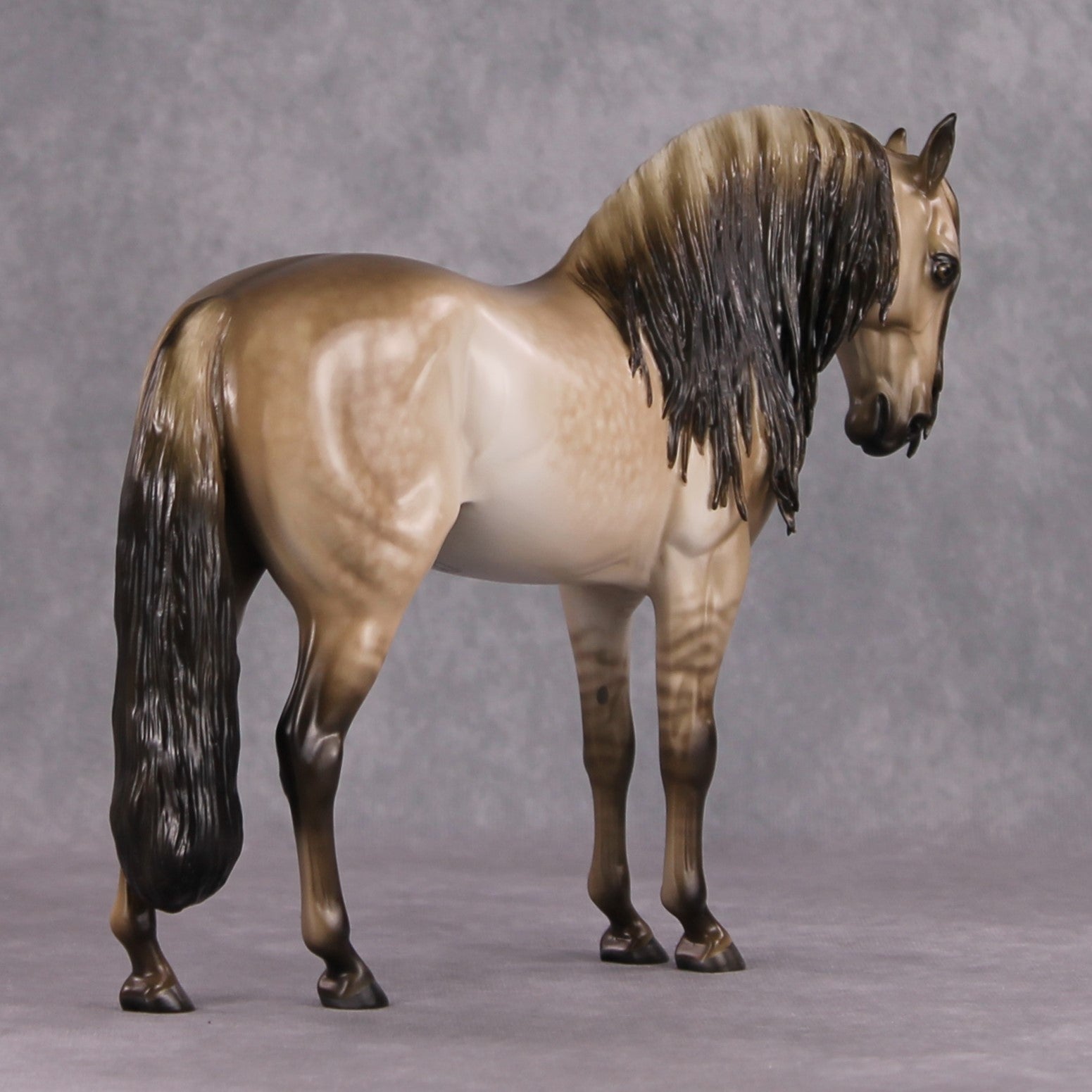 "Lustre" OOAK Dappled Dun Andalusian Stallion By Sheryl Leisure &amp; Mona Best Offer 1/21/25