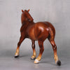 Candied Apple OOAK Custom Chestnut Pebble Draft By Ashley Palmer BEST OFFERS LHS24