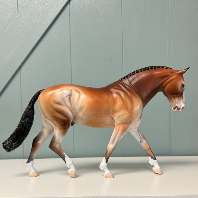 Albero OOAK Dappled Wild Bay Irish Draught By Jess Hamill EQ24