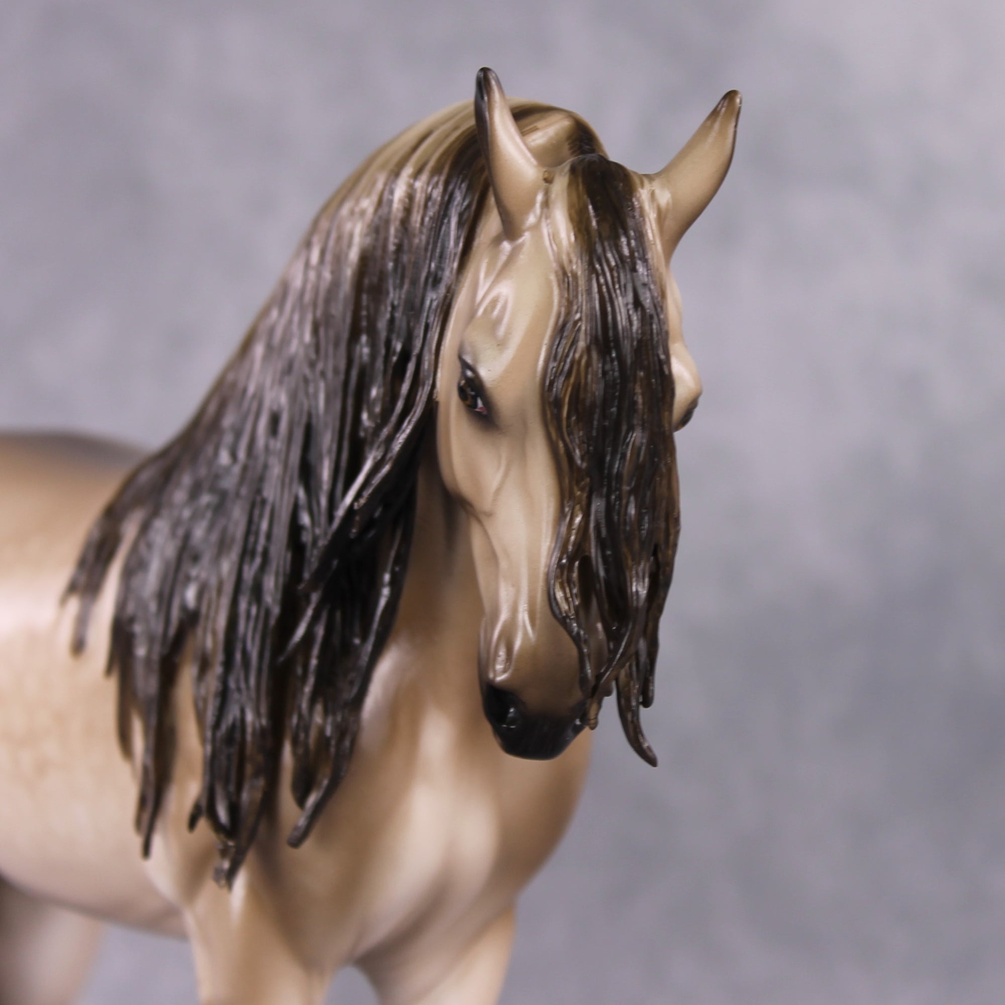 "Lustre" OOAK Dappled Dun Andalusian Stallion By Sheryl Leisure &amp; Mona Best Offer 1/21/25