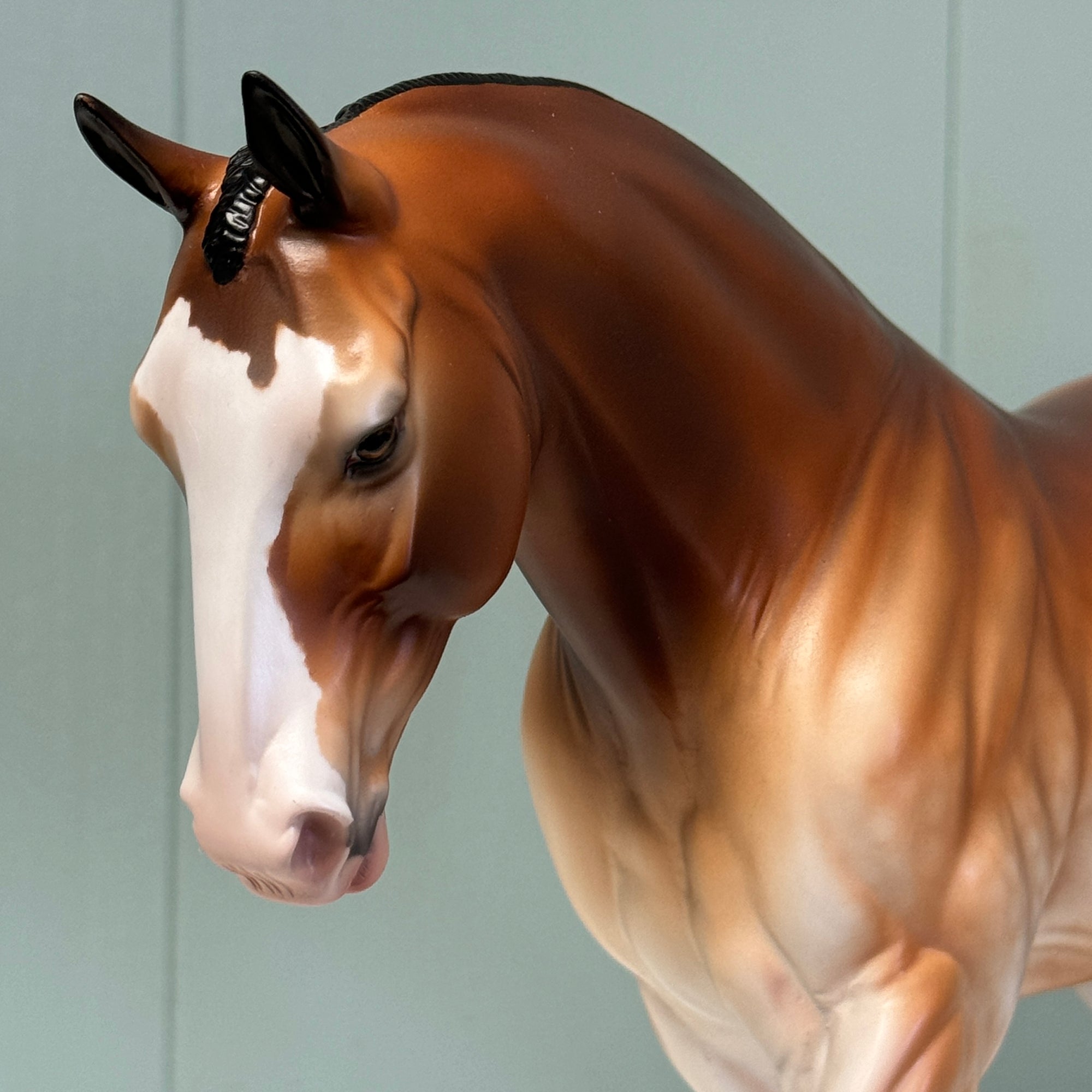 Albero OOAK Dappled Wild Bay Irish Draught By Jess Hamill EQ24