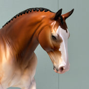 Albero OOAK Dappled Wild Bay Irish Draught By Jess Hamill EQ24