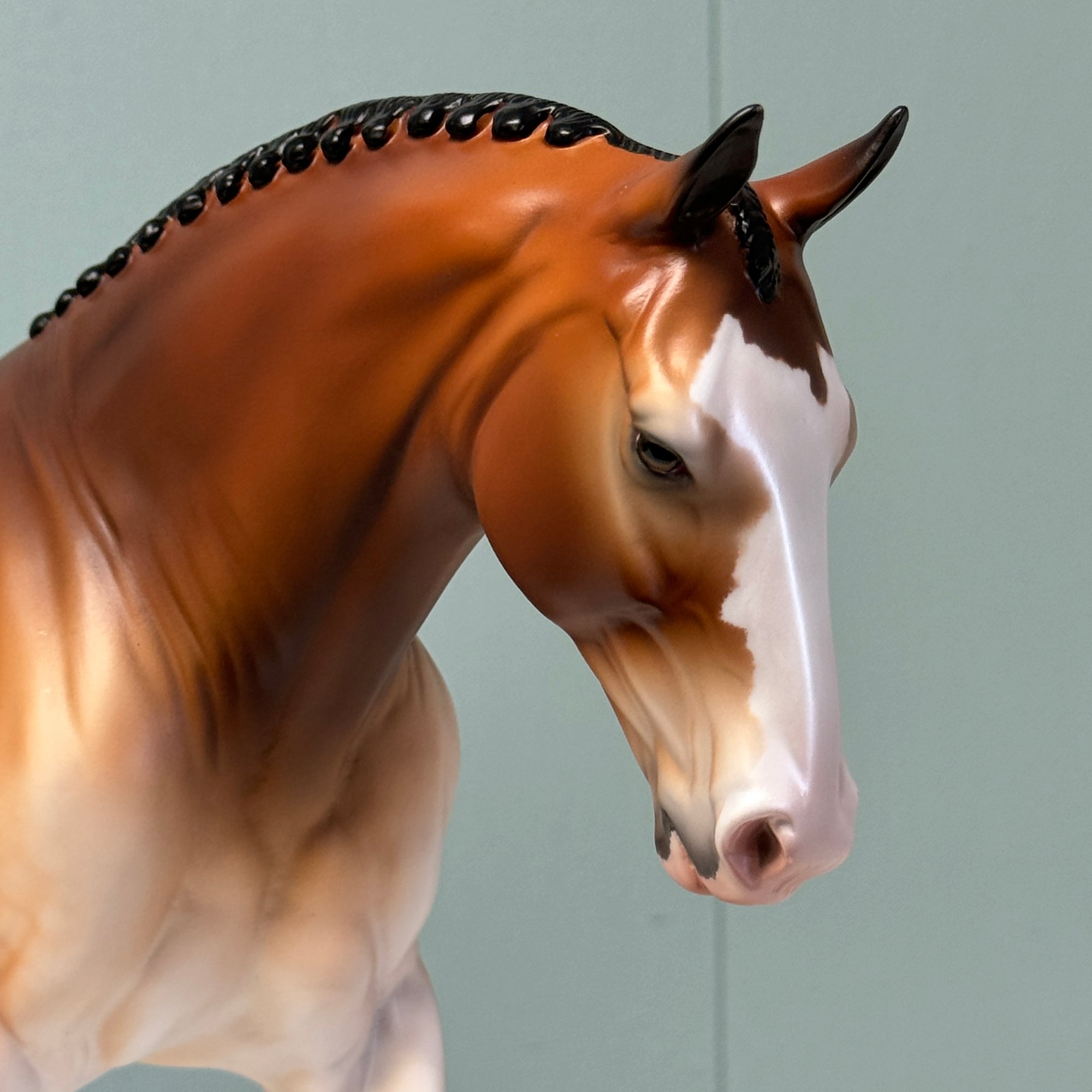 Albero OOAK Dappled Wild Bay Irish Draught By Jess Hamill EQ24