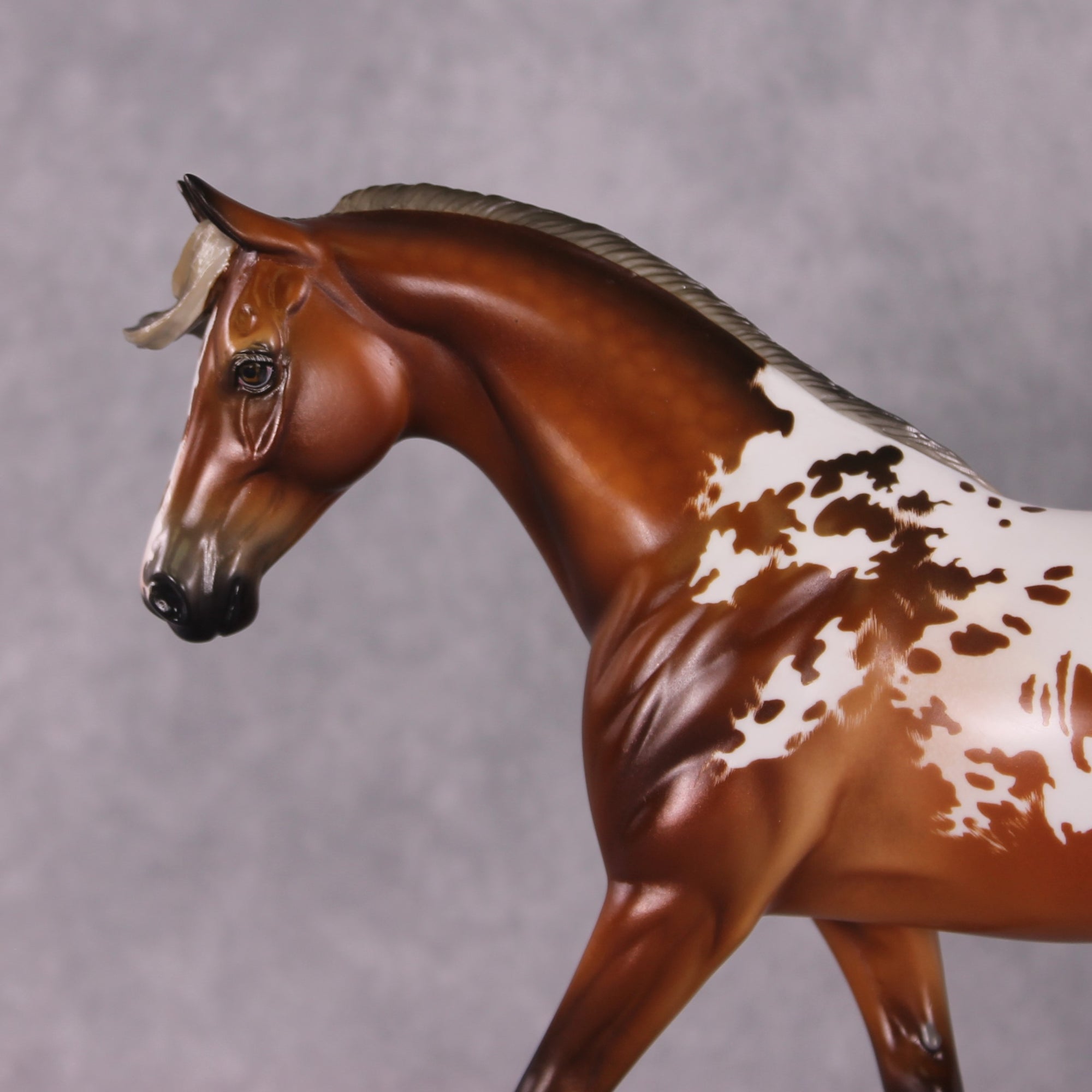 "Story" Best Offer FCM Pony By Angela Marleau 04/22/2025