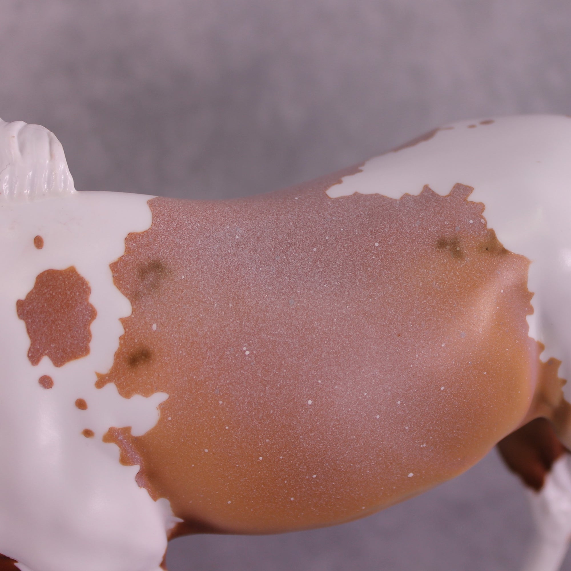 "Terracotta" OOAK EFCM Large Mule by Dawn Quick Best Offer EQ25 07/15/25