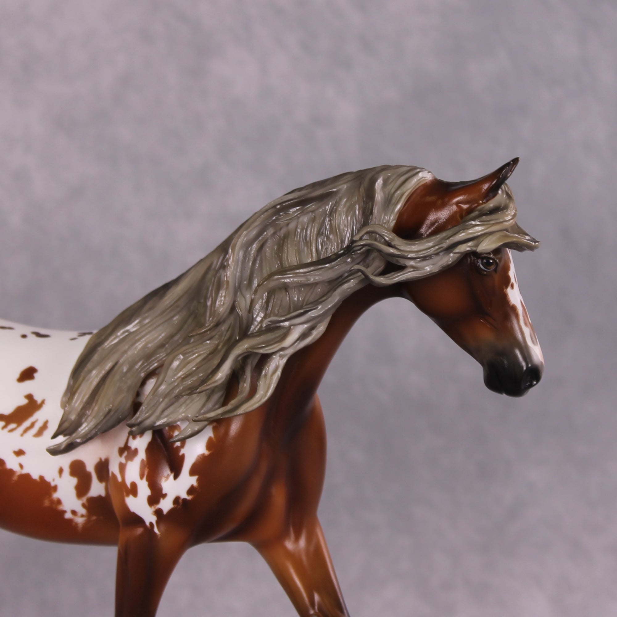 "Story" Best Offer FCM Pony By Angela Marleau 04/22/2025