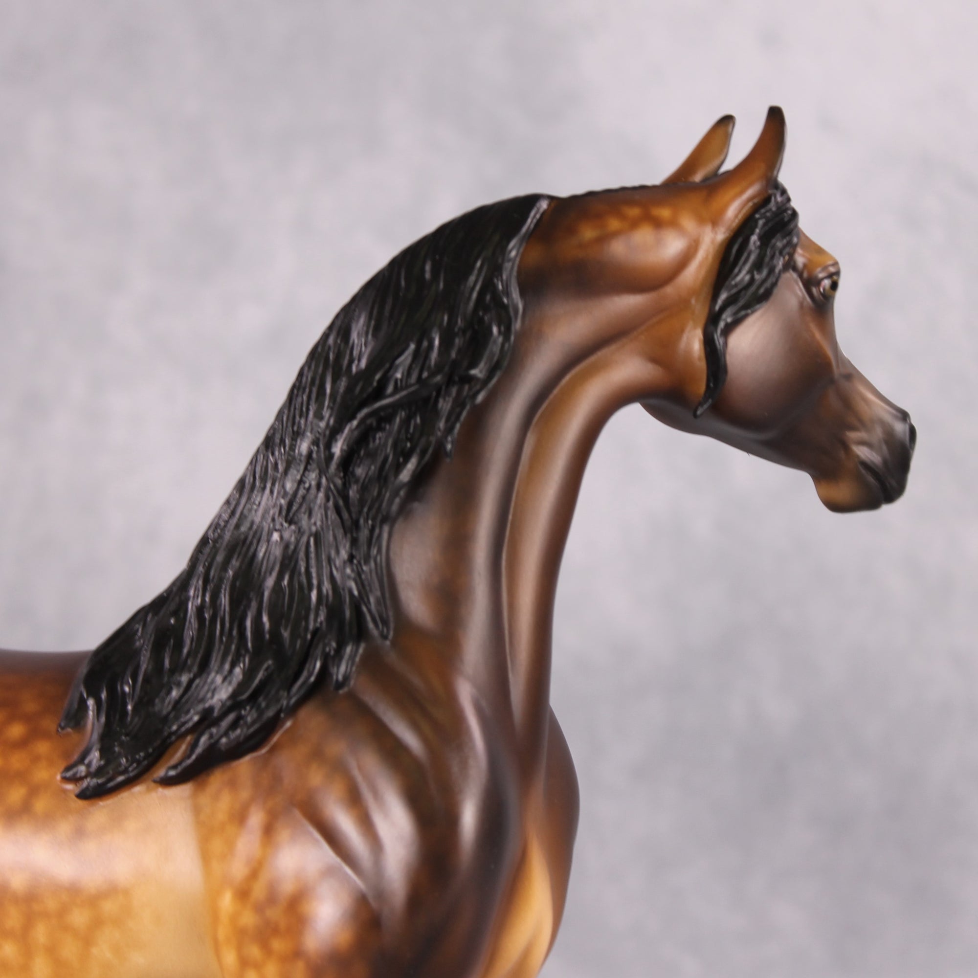 "Smouldering" OOAK Arabian Dapple Bay By Sheryl Leisure &amp; Mona Best Offer 1/21/25