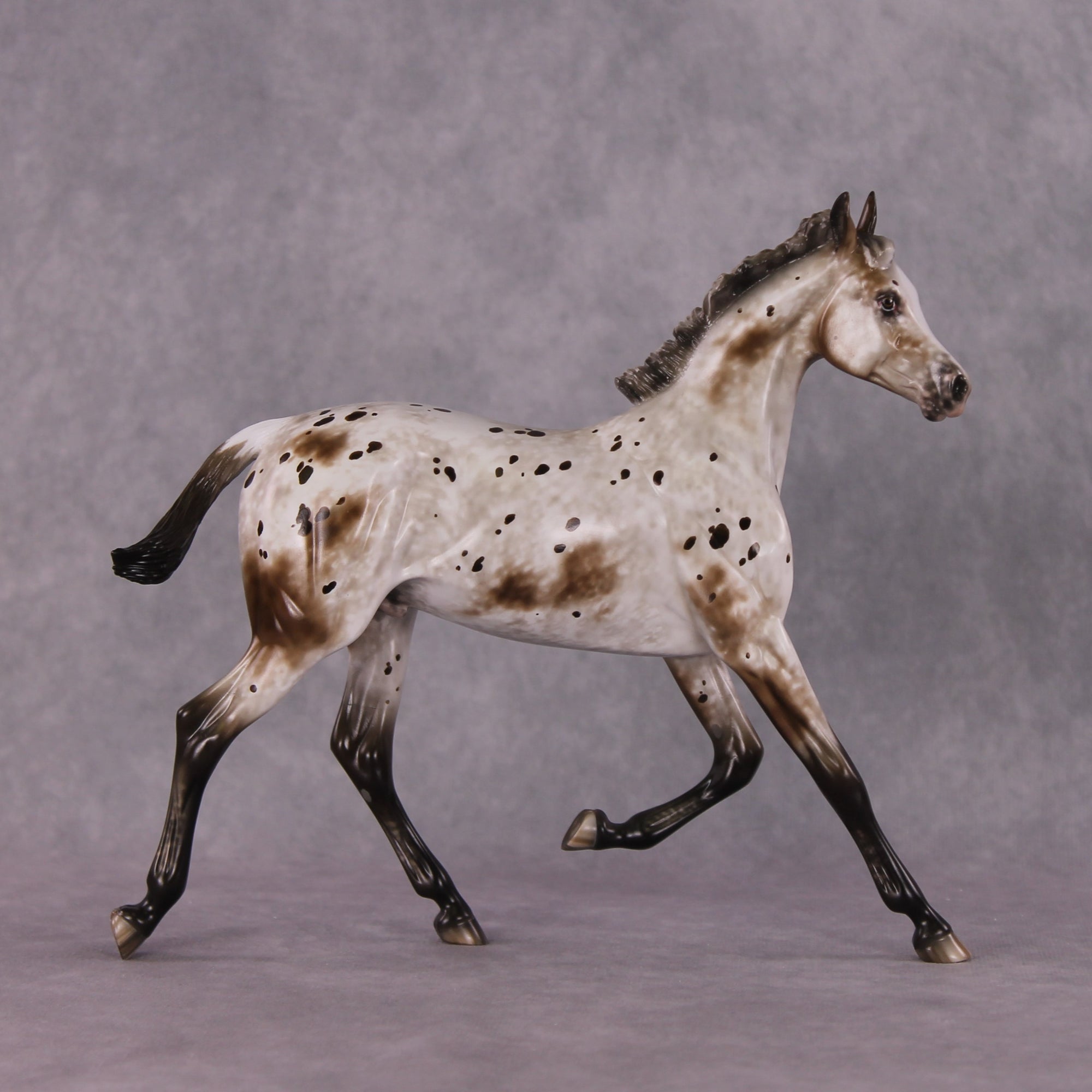"Williwaw" Best Offer Custom OOAK Arabian Yearling by Sheryl Leisure 4/29/2025