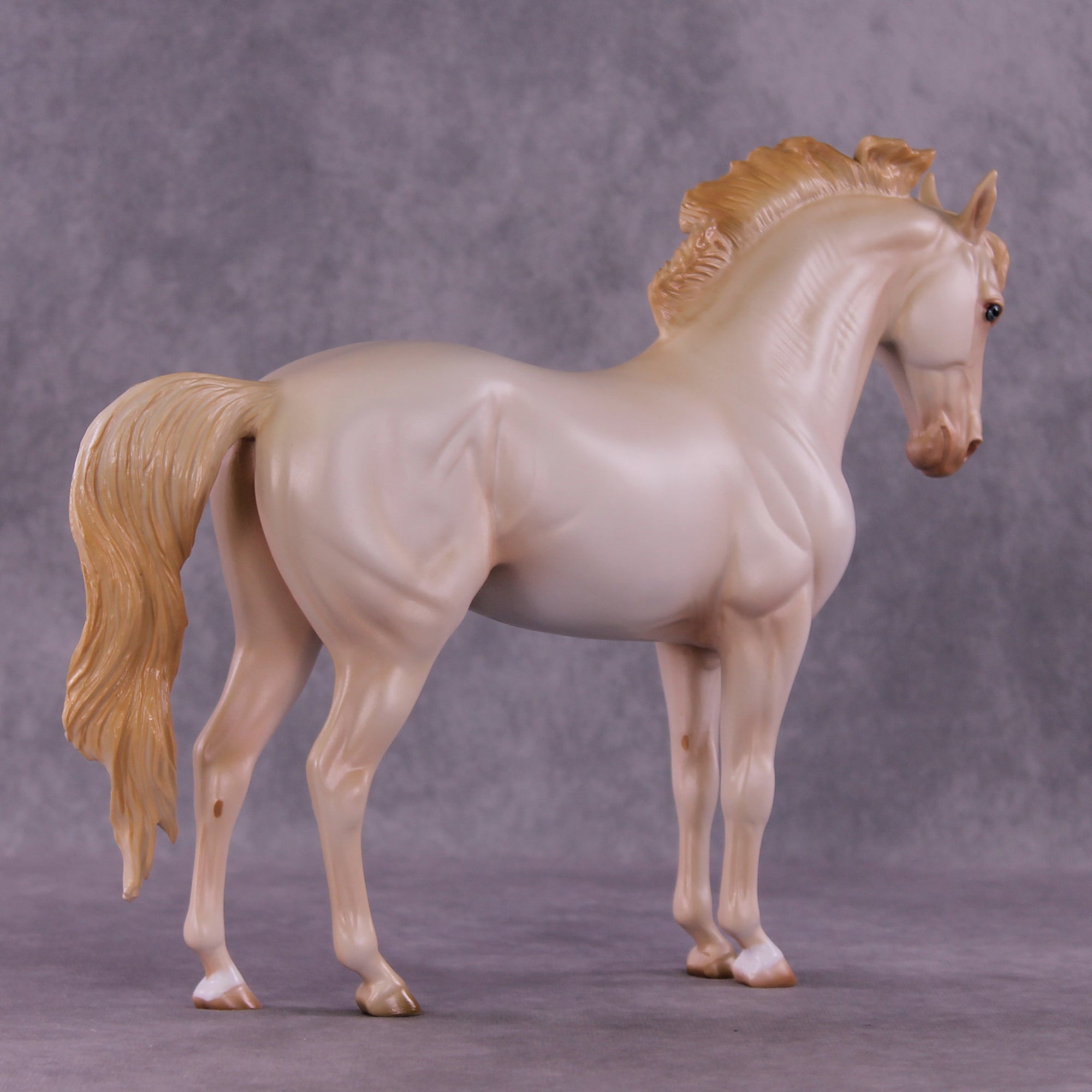 SAMPLE Eugene Santiago LE-20 FCM Andalusian by Ashley Palmer &amp; Melanie Miller SS0626