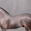 Igon OOAK Reverse Dappled Grey Custom Andalusian Chip By Jess Hamill BEST OFFERS LHS24