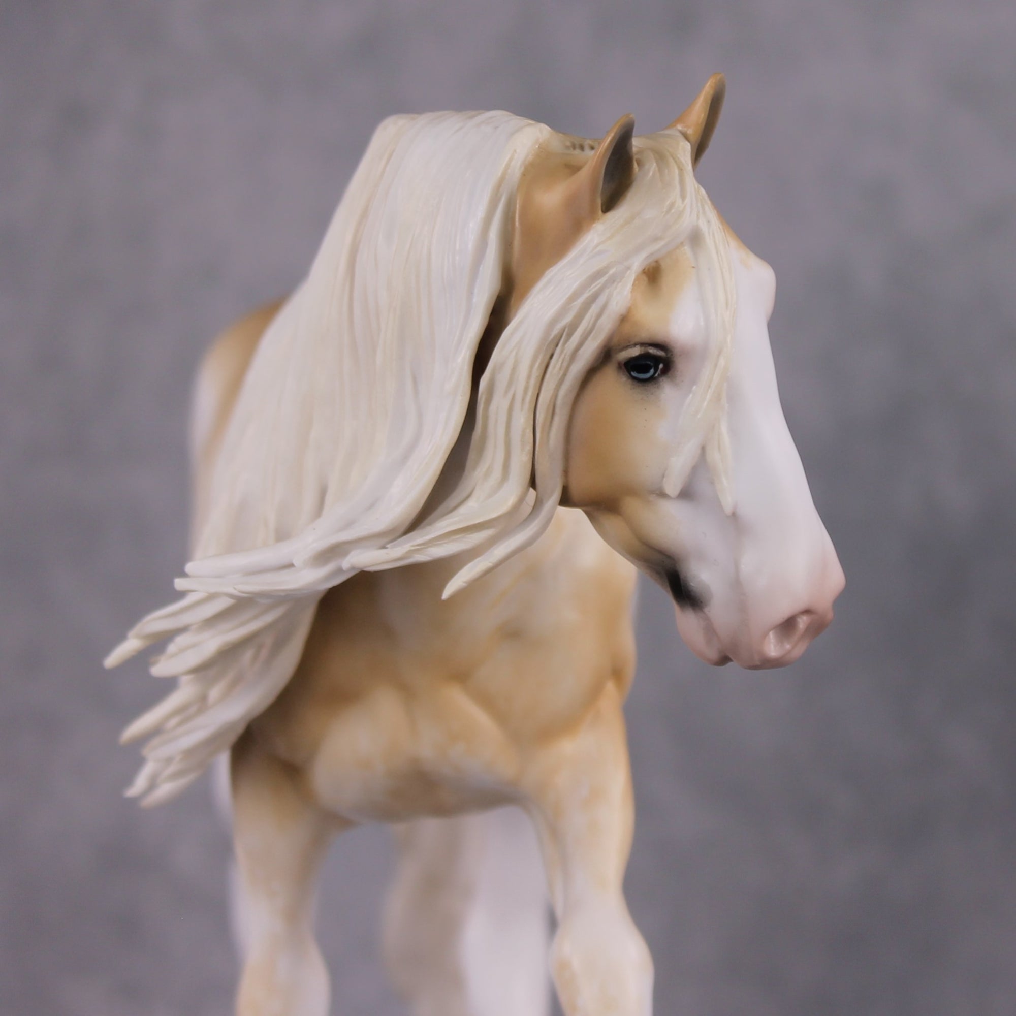 "Lucent" OOAK Blonde Sabino Irish Cob By Sheryl Leisure &amp; Mona Best Offer 1/21/25