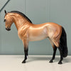 Finite OOAK Dapple Golden Bay Andalusian By Ashley Palmer EQ24