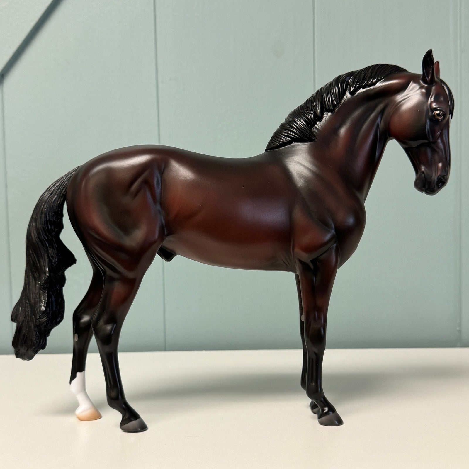 Midnight Oil OOAK Dark Bay Andalusian By Ashley Palmer EQ24