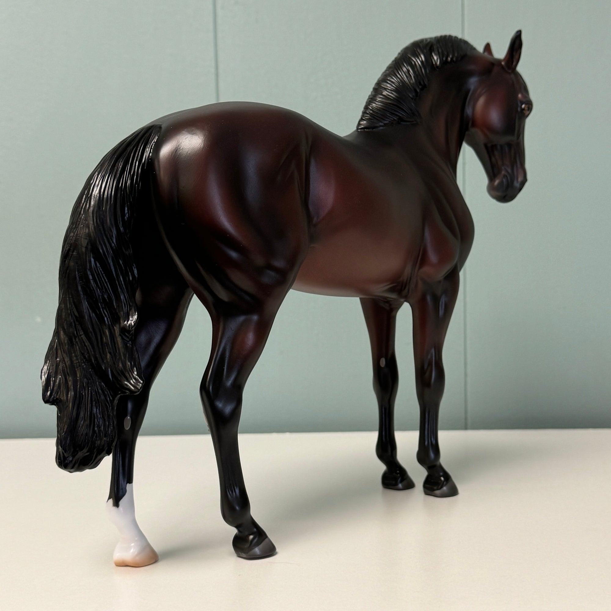 Midnight Oil OOAK Dark Bay Andalusian By Ashley Palmer EQ24