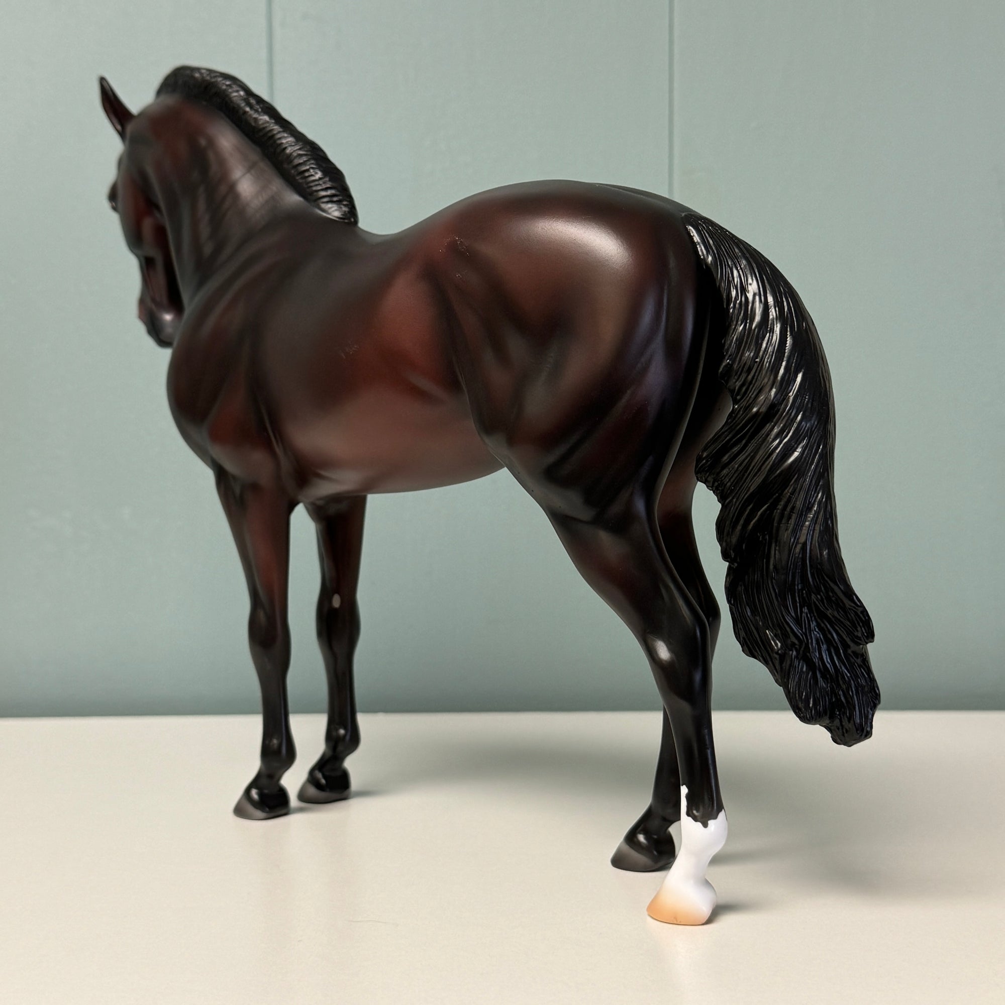 Midnight Oil OOAK Dark Bay Andalusian By Ashley Palmer EQ24