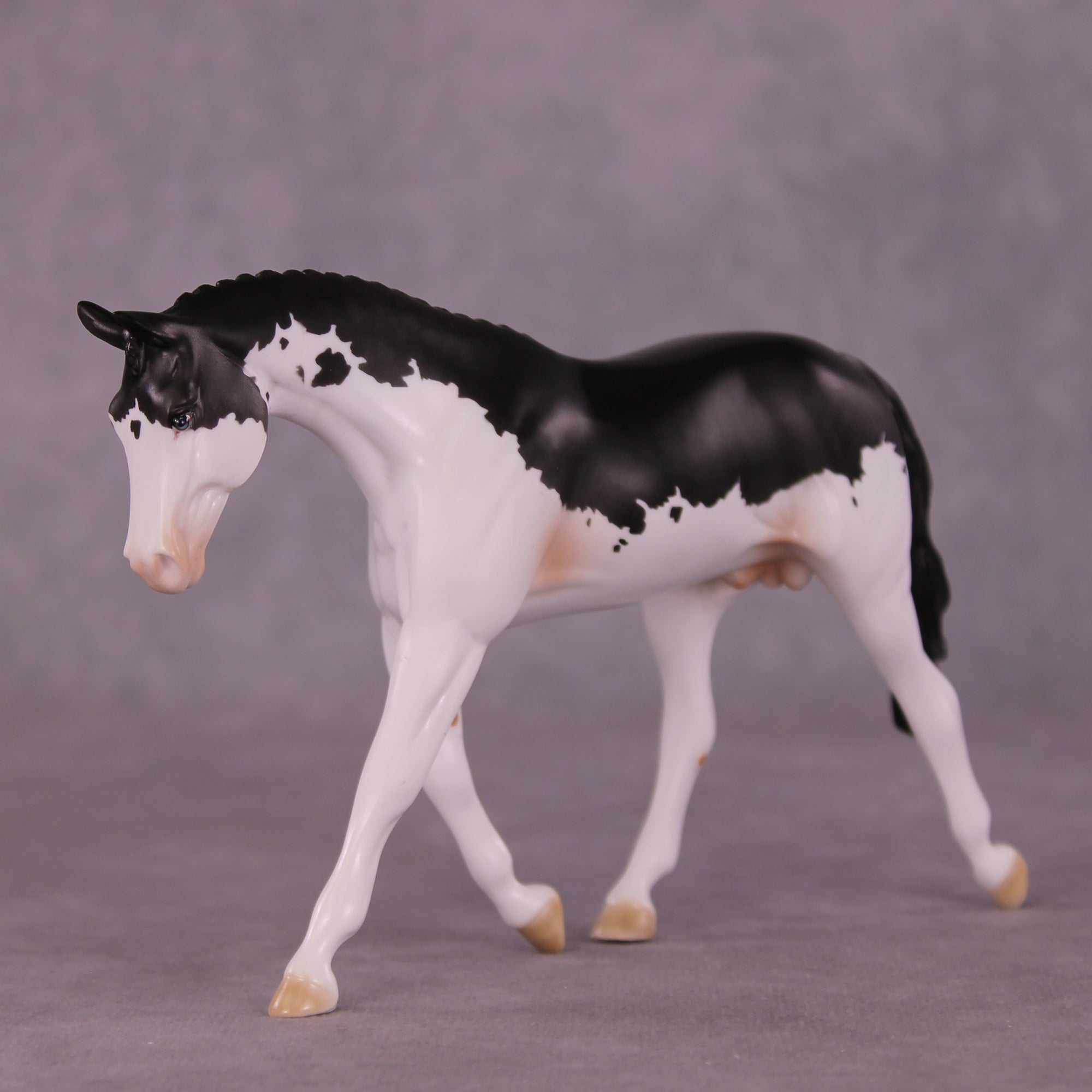 After Midnight OOAK Pebble Warmblood by Dawn Quick LHS25