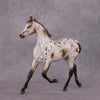 &quot;Williwaw&quot; Best Offer Custom OOAK Arabian Yearling by Sheryl Leisure 4/29/2025