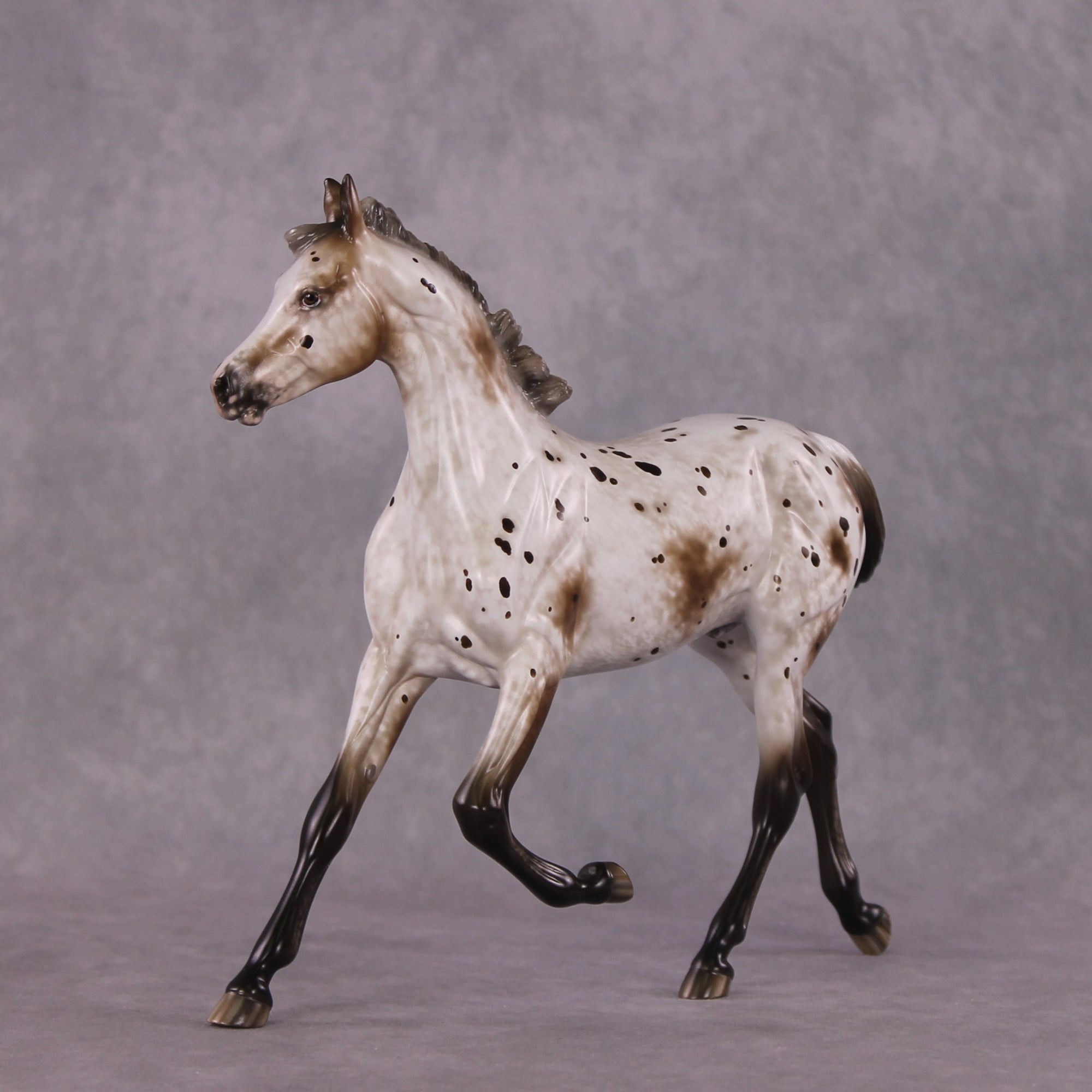 "Williwaw" Best Offer Custom OOAK Arabian Yearling by Sheryl Leisure 4/29/2025