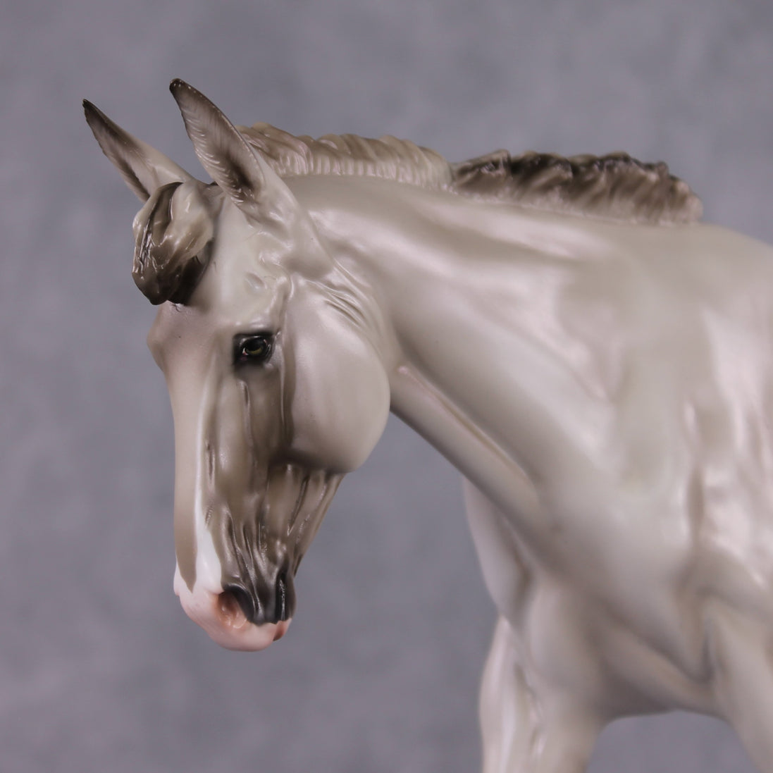 "Vexica" LE-10 Dappled Silver Grulla Mule By Ashley Palmer - 2025 Zodiac Series ZS25
