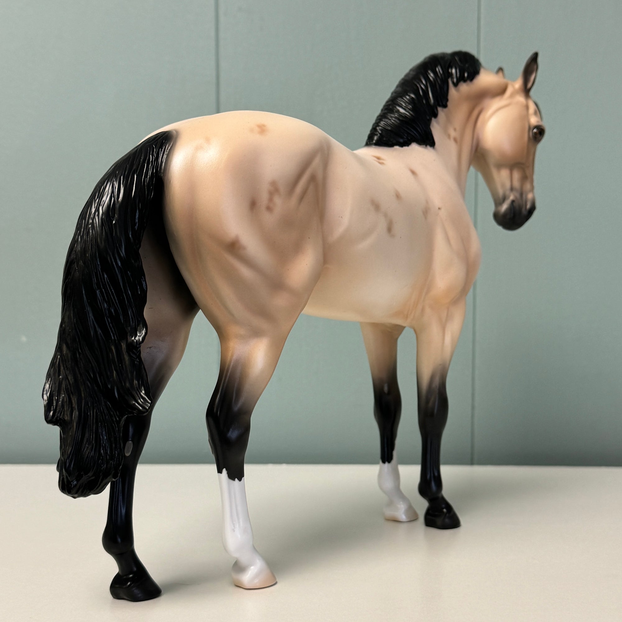 I Swear OOAK Buckskin Roan W/ Corn Spots Andalusian By Ellen Robbins EQ24