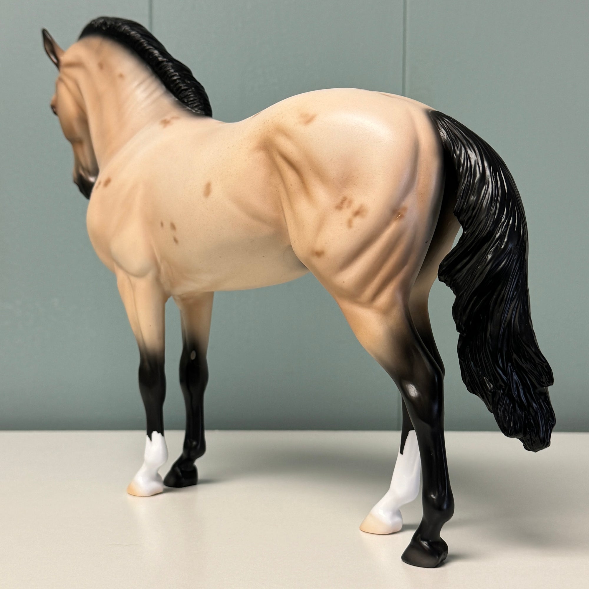 I Swear OOAK Buckskin Roan W/ Corn Spots Andalusian By Ellen Robbins EQ24