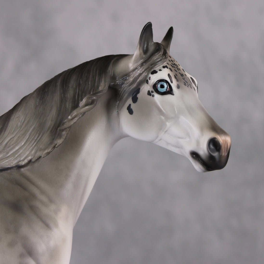 "Uncia" LE-9 Snow Leopard Ideal Stock Horse By Jess Hamill Menagerie Series: Central Asia MS25