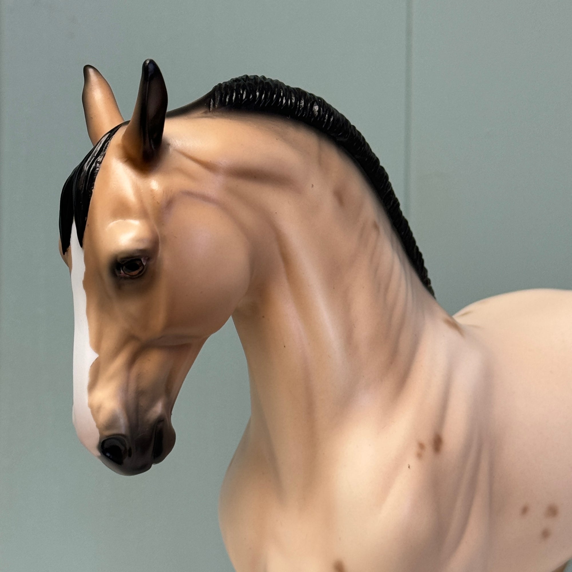 I Swear OOAK Buckskin Roan W/ Corn Spots Andalusian By Ellen Robbins EQ24