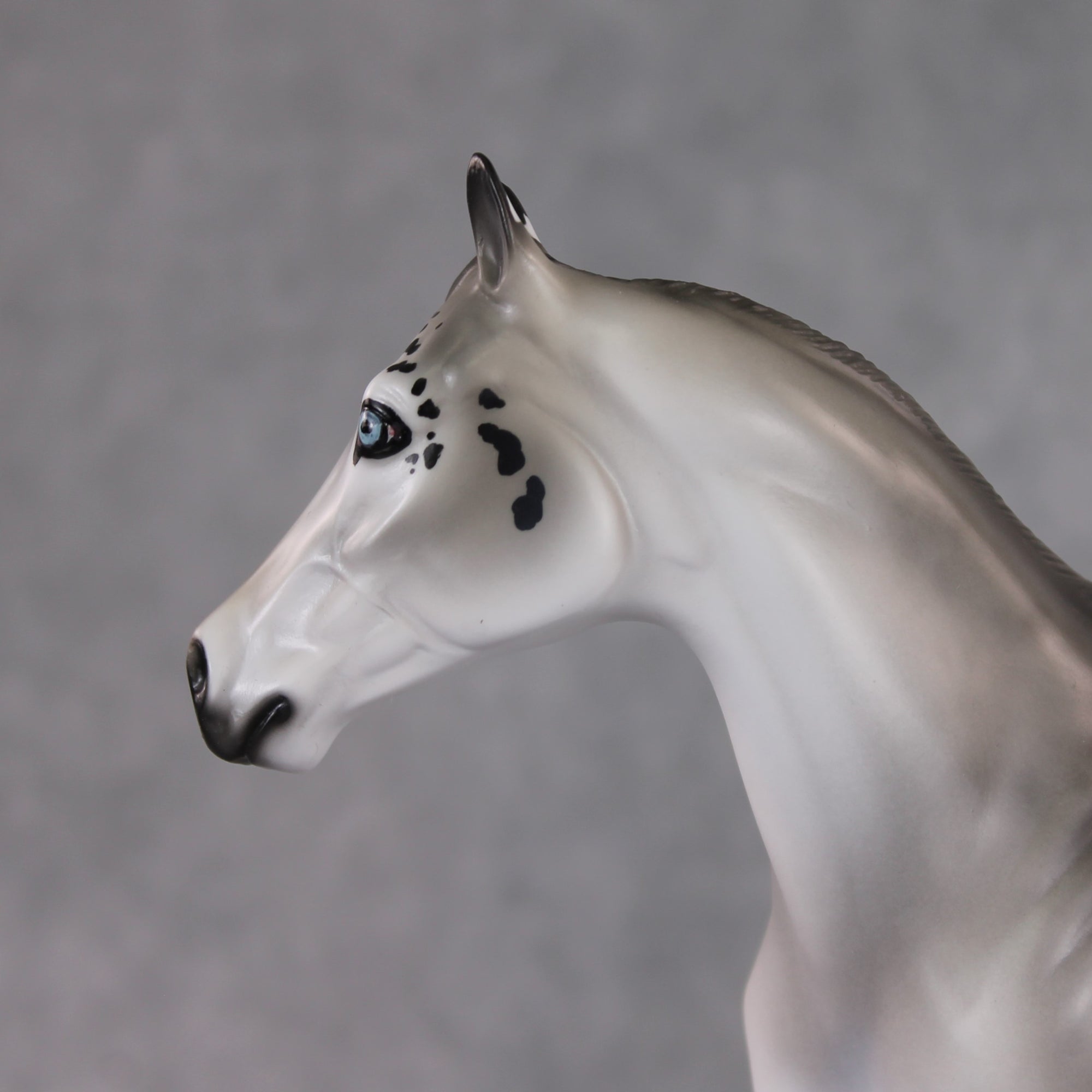 "Uncia" LE-9 Snow Leopard Ideal Stock Horse By Jess Hamill Menagerie Series: Central Asia MS25