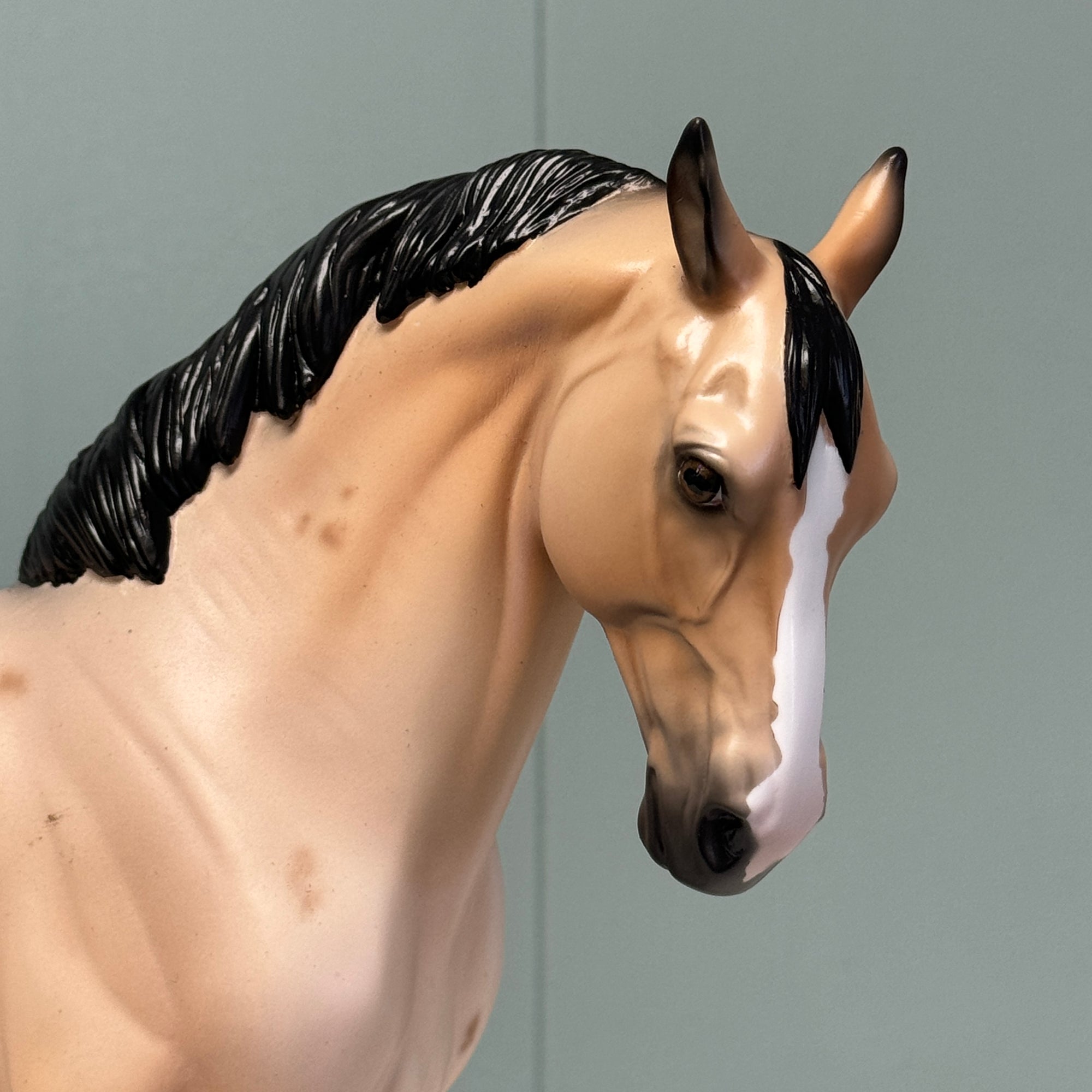 I Swear OOAK Buckskin Roan W/ Corn Spots Andalusian By Ellen Robbins EQ24