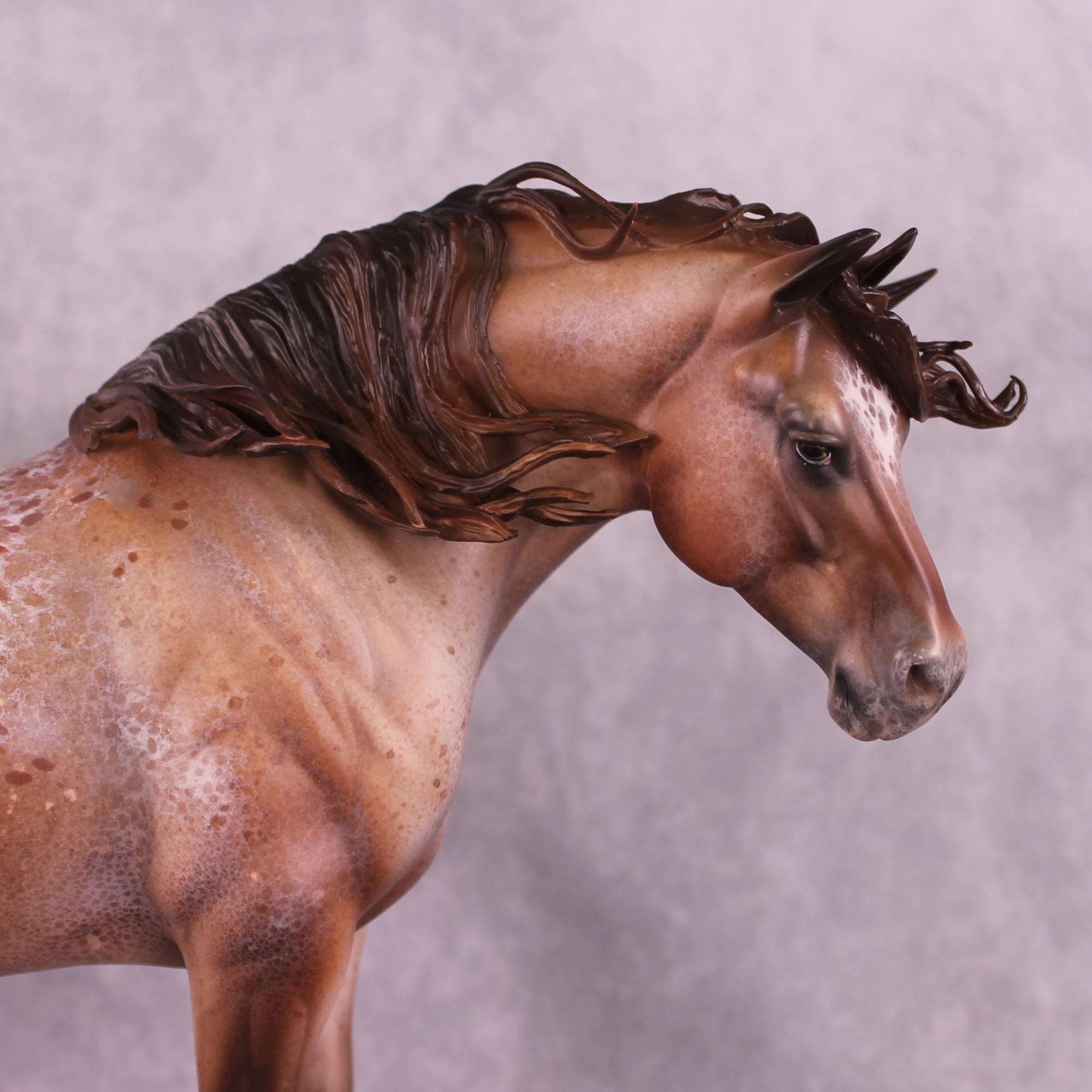 EQ25 TEST PURCHASE LISTING