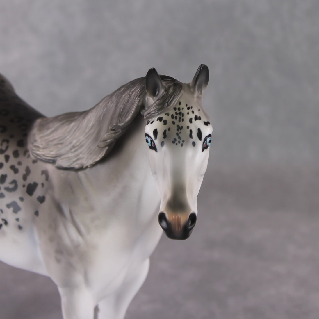 "Uncia" LE-9 Snow Leopard Ideal Stock Horse By Jess Hamill Menagerie Series: Central Asia MS25