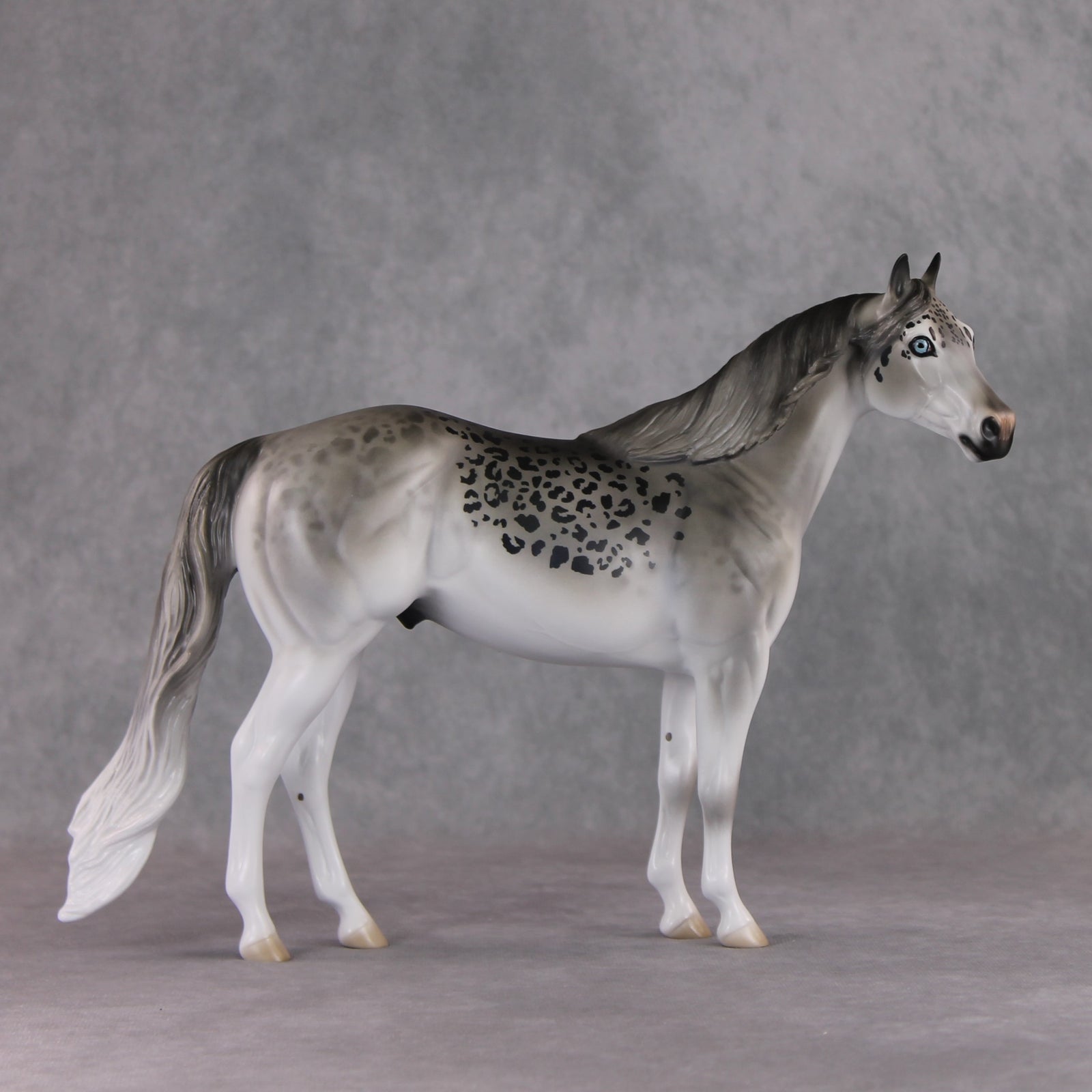 "Uncia" LE-9 Snow Leopard Ideal Stock Horse By Jess Hamill Menagerie Series: Central Asia MS25