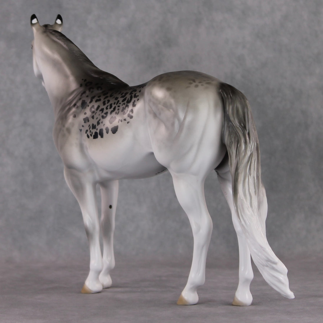 "Uncia" LE-9 Snow Leopard Ideal Stock Horse By Jess Hamill Menagerie Series: Central Asia MS25