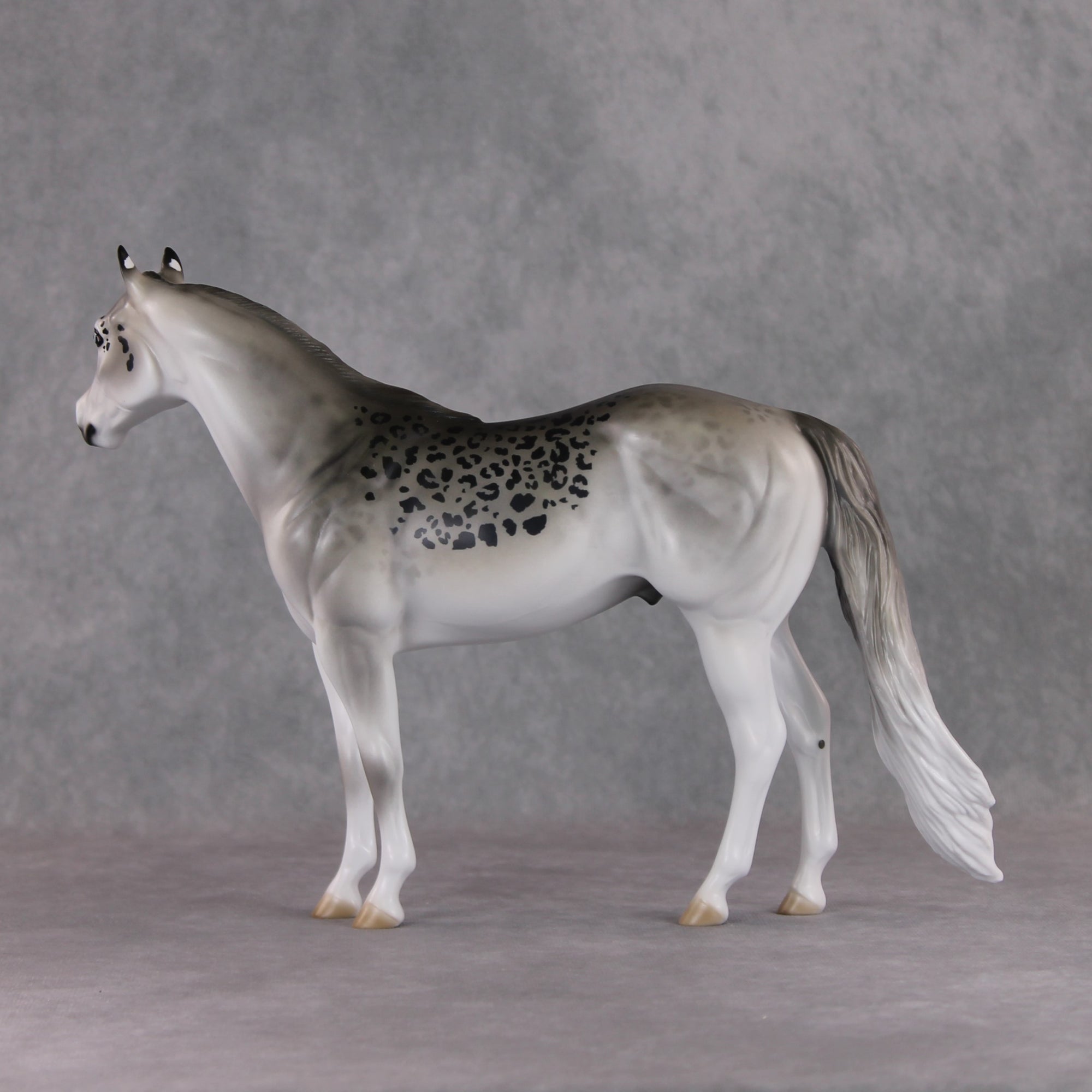 "Uncia" LE-9 Snow Leopard Ideal Stock Horse By Jess Hamill Menagerie Series: Central Asia MS25