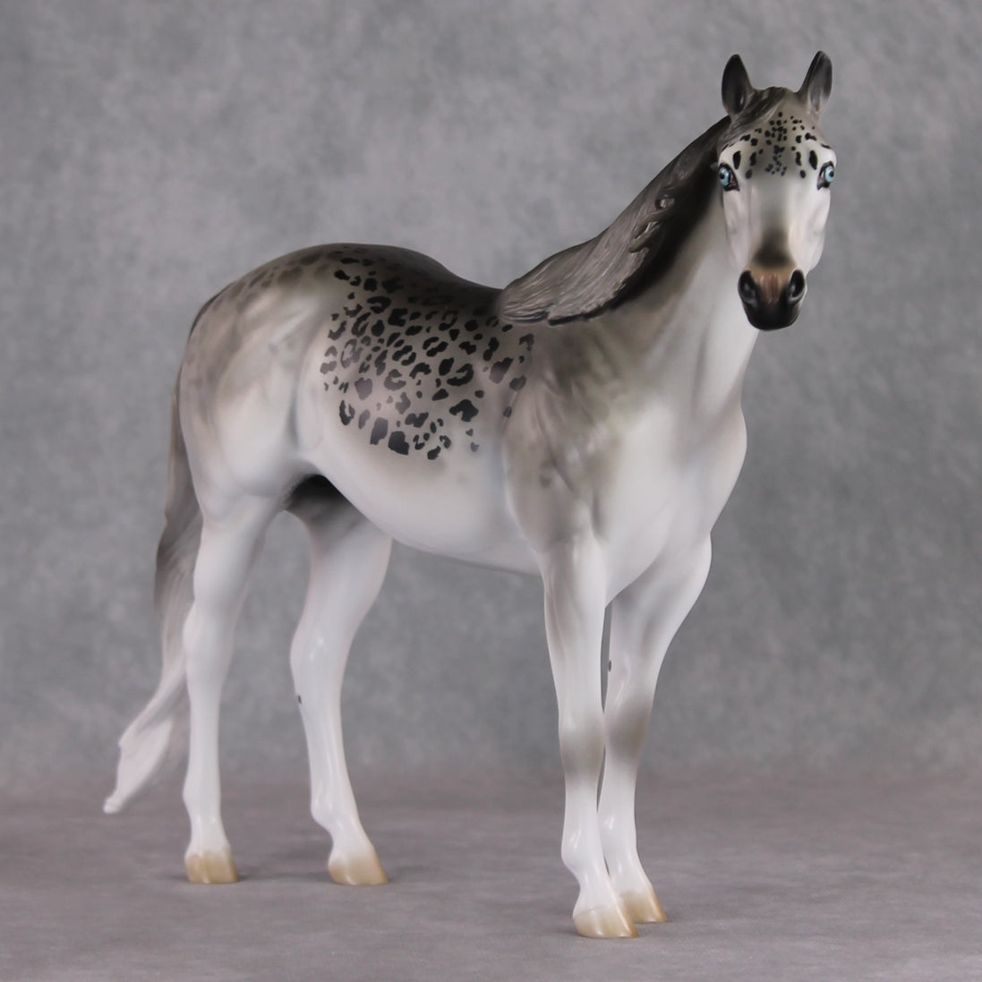 "Uncia" LE-9 Snow Leopard Ideal Stock Horse By Jess Hamill Menagerie Series: Central Asia MS25