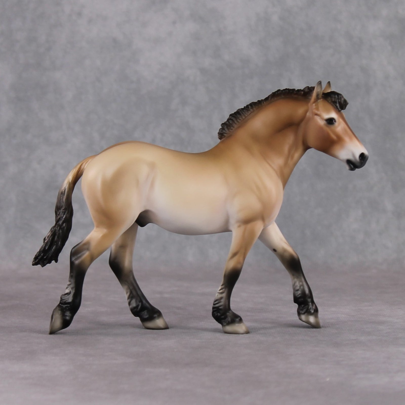 "Tahki" LE-10 Przewalski's Horse Draft By Jess Hamill Menagerie Series: Central Asia