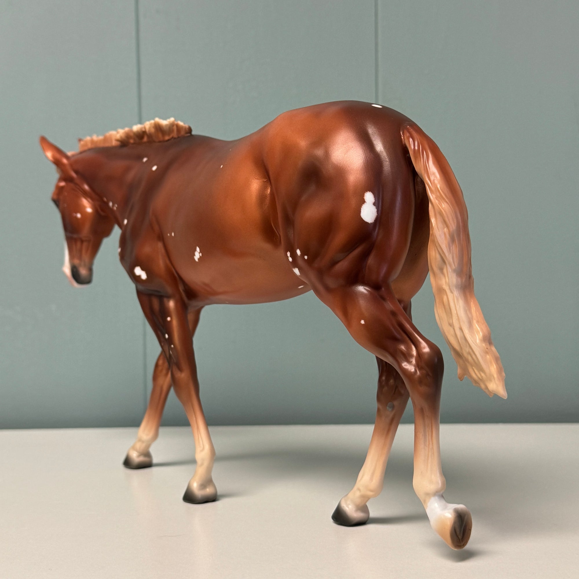 Breezy OOAK Flaxen Chestnut W/ Birdcatcher Spots Mule By Ashley Palmer EQ24