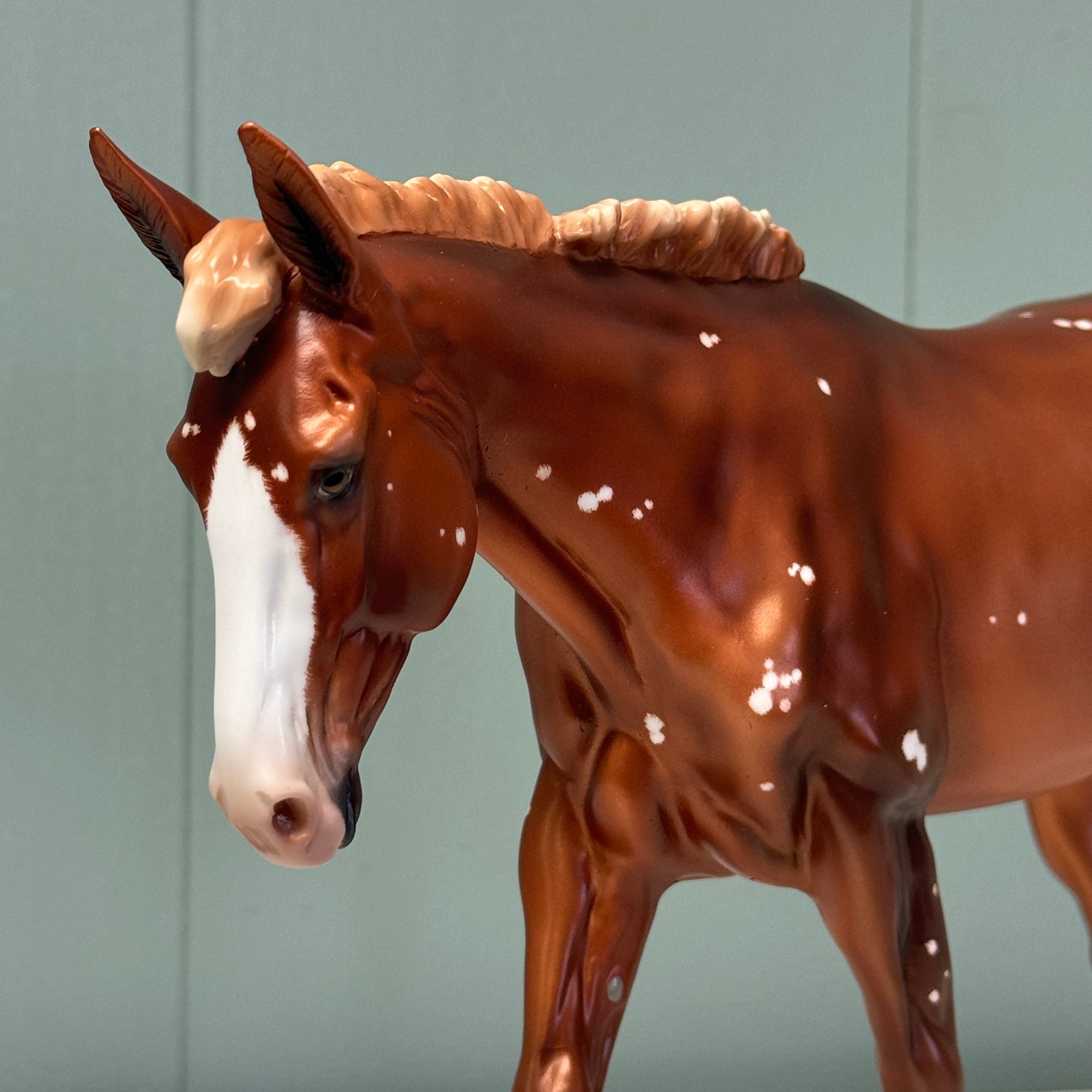 Breezy OOAK Flaxen Chestnut W/ Birdcatcher Spots Mule By Ashley Palmer EQ24