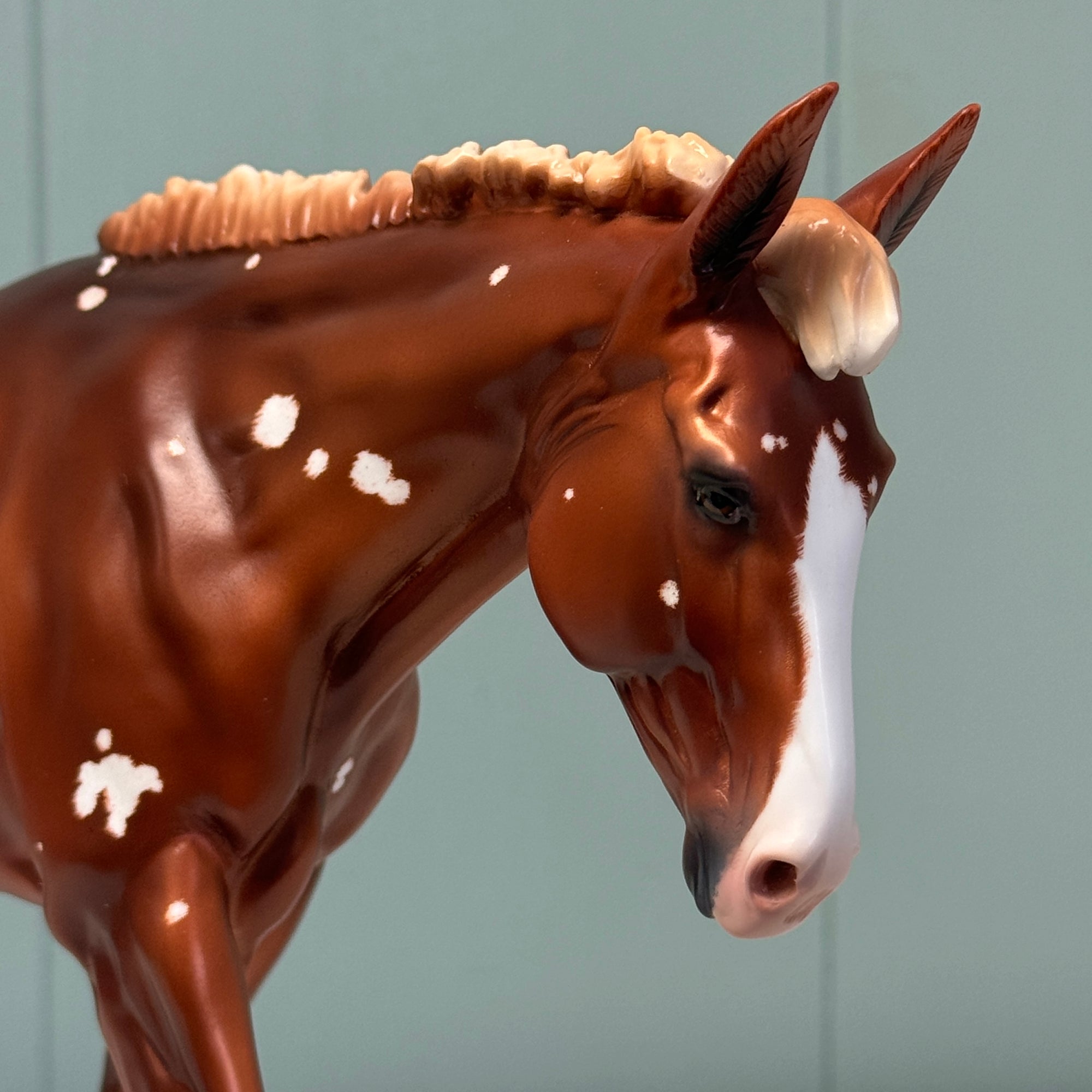 Breezy OOAK Flaxen Chestnut W/ Birdcatcher Spots Mule By Ashley Palmer EQ24