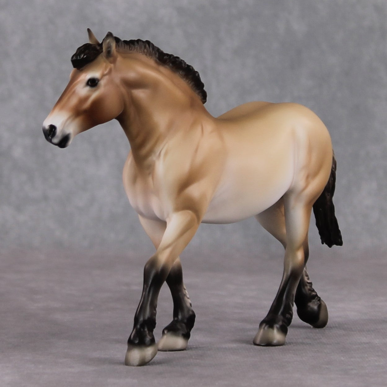 "Tahki" LE-10 Przewalski's Horse Draft By Jess Hamill Menagerie Series: Central Asia