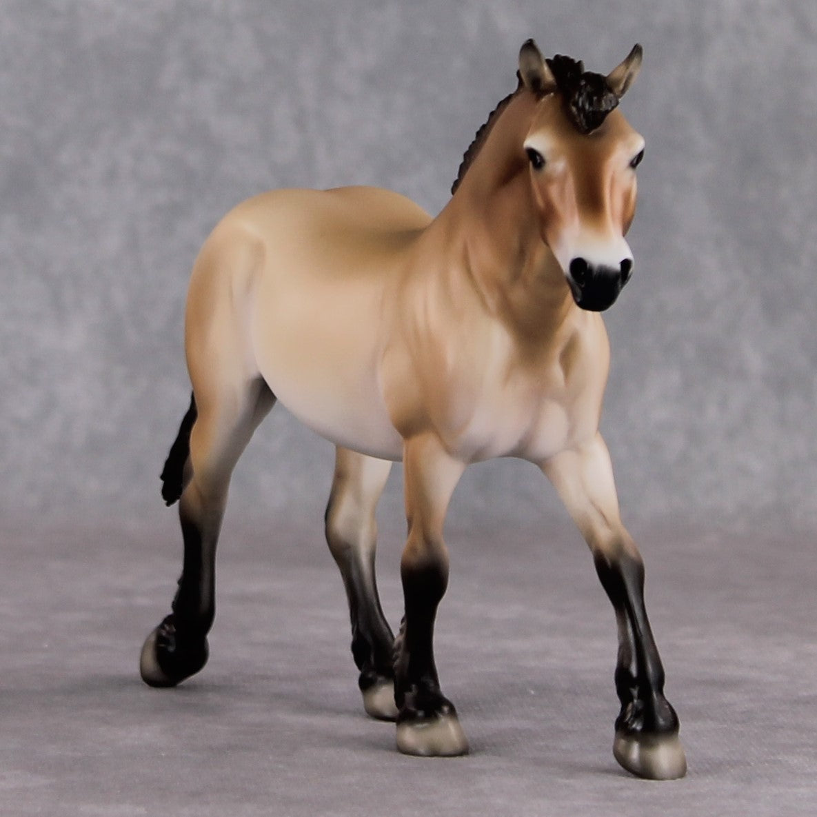 "Tahki" LE-10 Przewalski's Horse Draft By Jess Hamill Menagerie Series: Central Asia