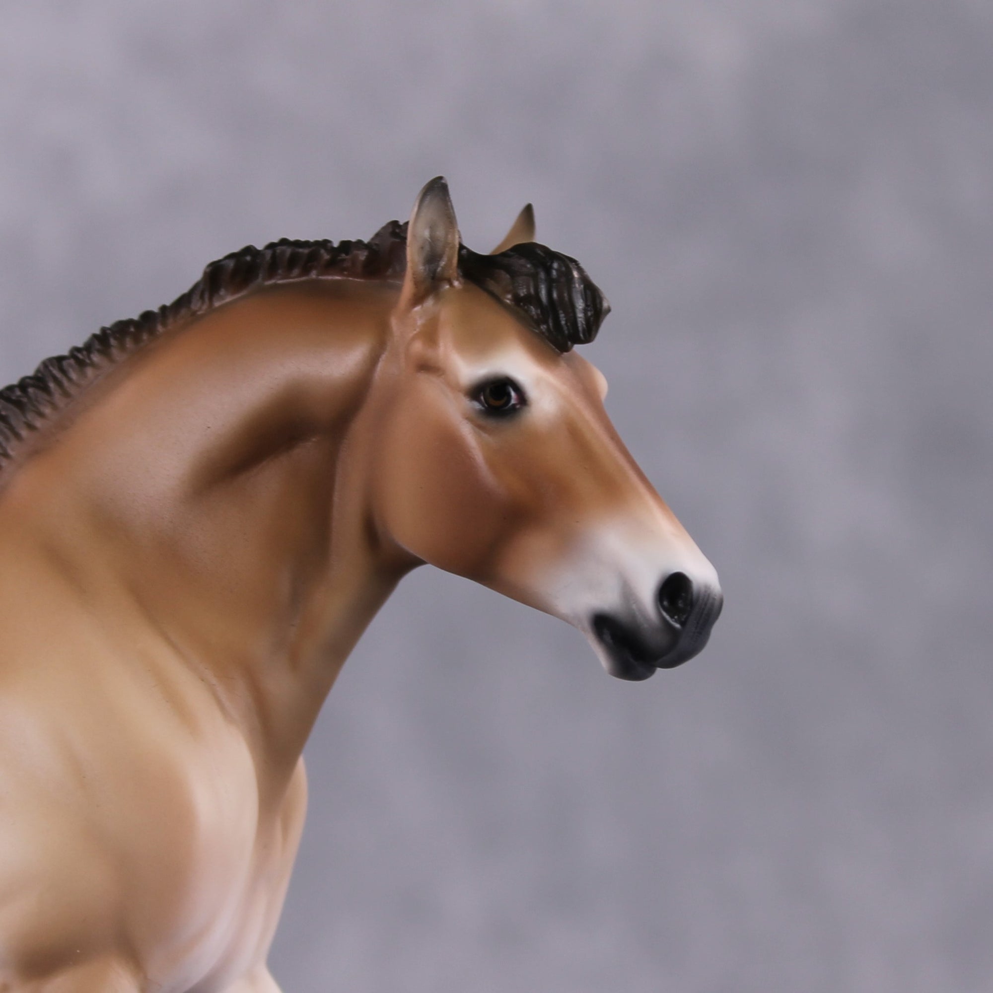 "Tahki" LE-10 Przewalski's Horse Draft By Jess Hamill Menagerie Series: Central Asia