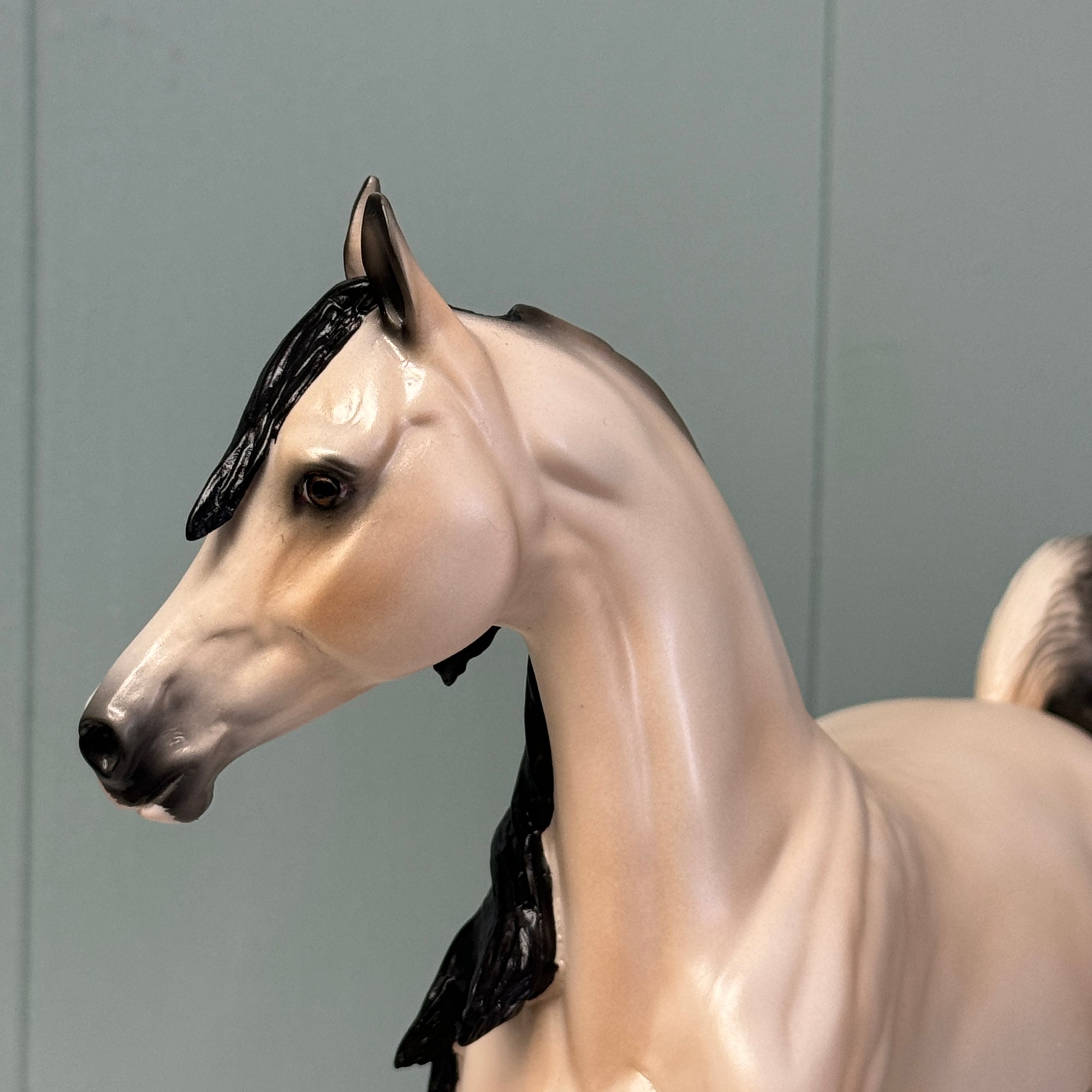 Sun-Kissed Miss OOAK Dappled Buckskin Arabian Mare By Ellen Robbins EQ24