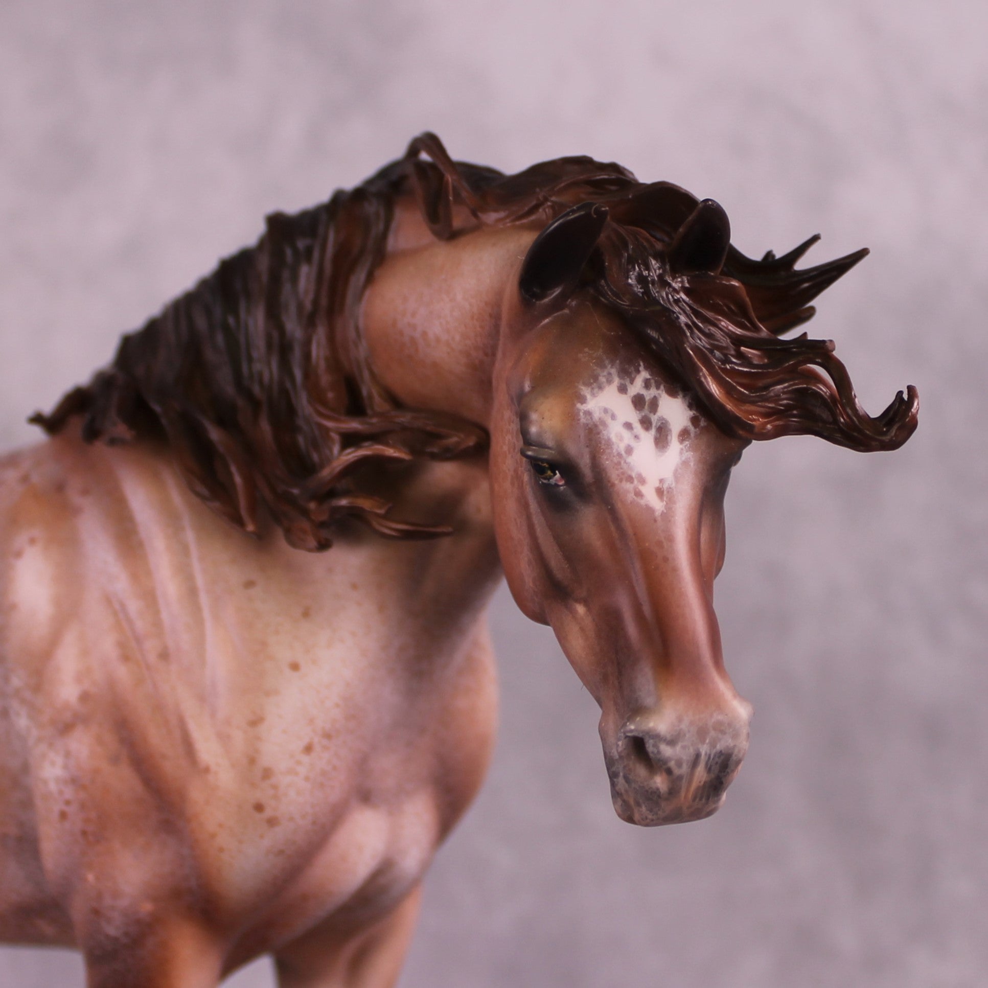 EQ25 TEST PURCHASE LISTING