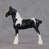 Star Bright LE-3 Black Tobiano Draft Chip By Jamie Adamson $99 Chips Sale 02/03/2025