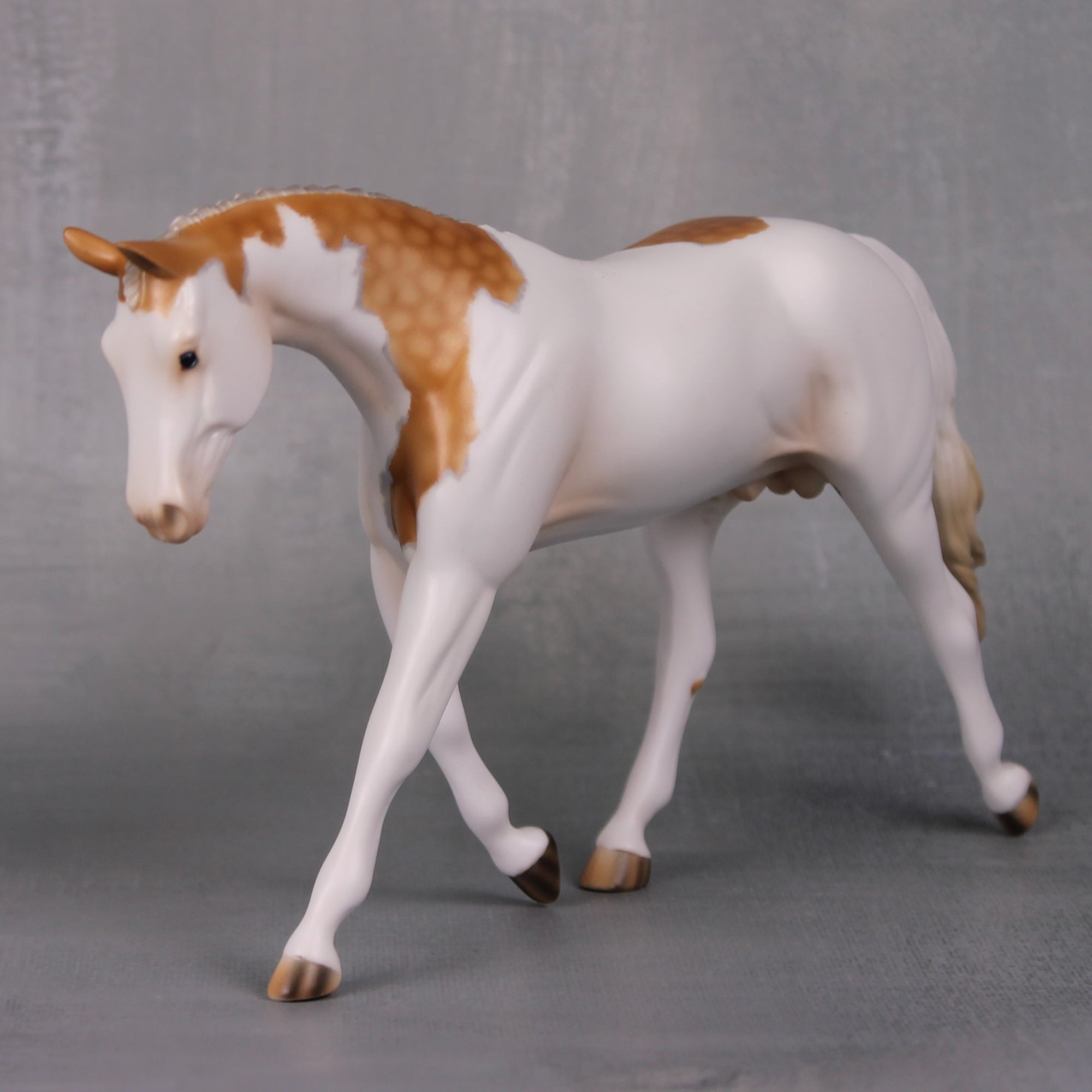 Gold Finch OOAK Dappled Palomino Pinto Pebble Warmblood By Ashley Palmer LHS24