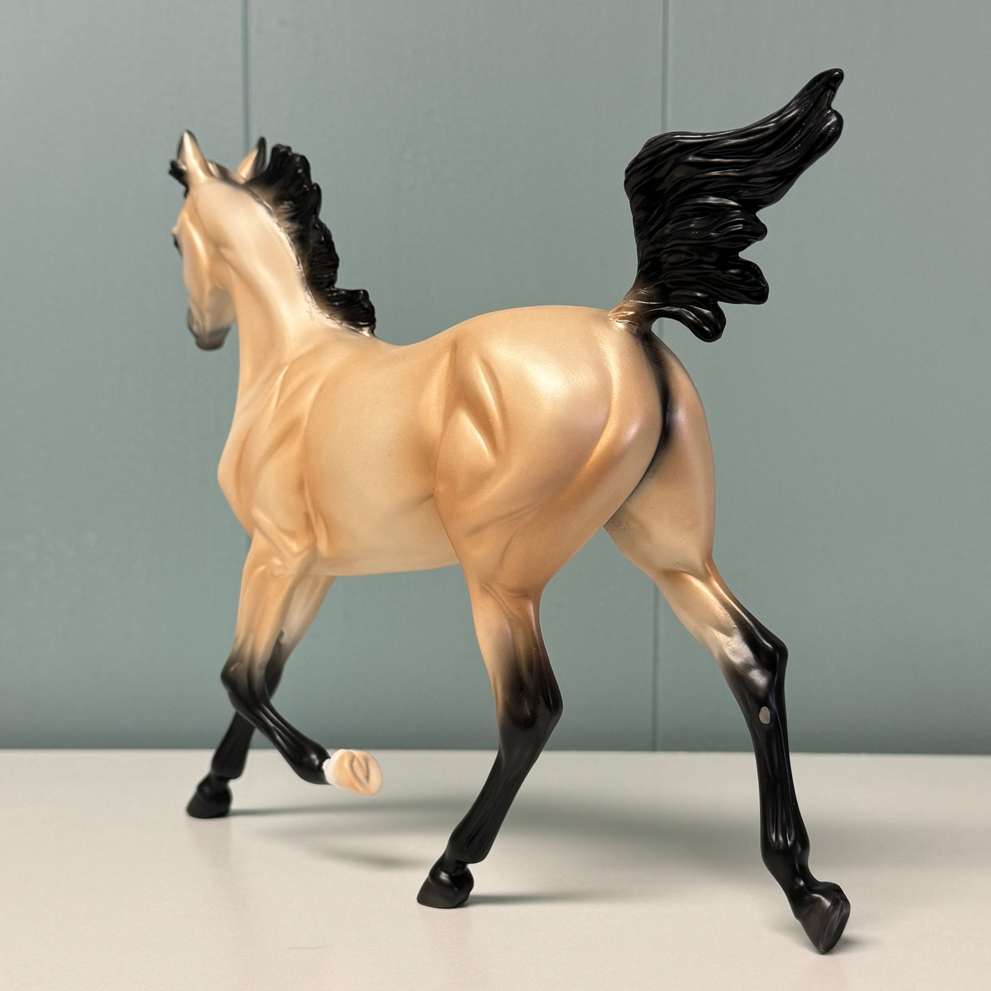 Shiny OOAK Buckskin Yearling By Ellen Robbins EQ24