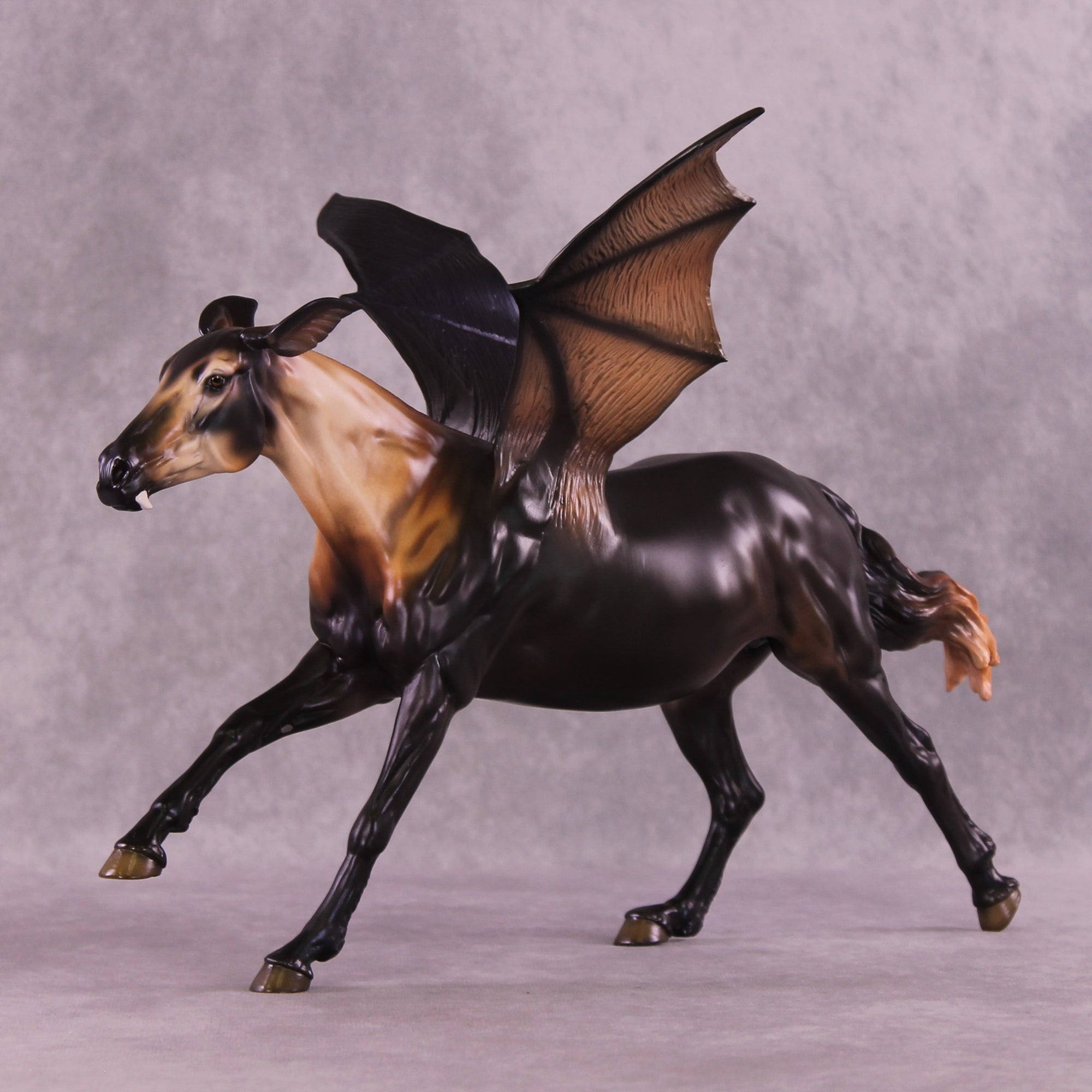 Black Bat: Ptero LE-5 EFCM Volo by Jess Hamill MM25