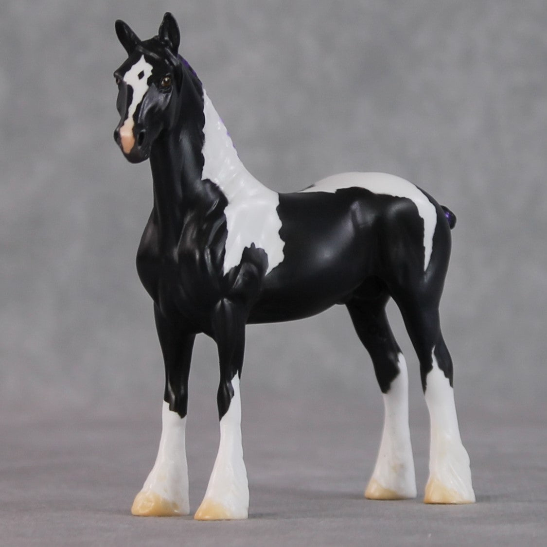 "Star Bright" LE-3 Black Tobiano Draft Chip By Jamie Adamson $99 Chips Sale 02/03/2025