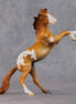 "Obrian" LE-3 Chestnut Appaloosa Rearing Chip By Jamie Adamson $99 Chips Sale 02/03/2025